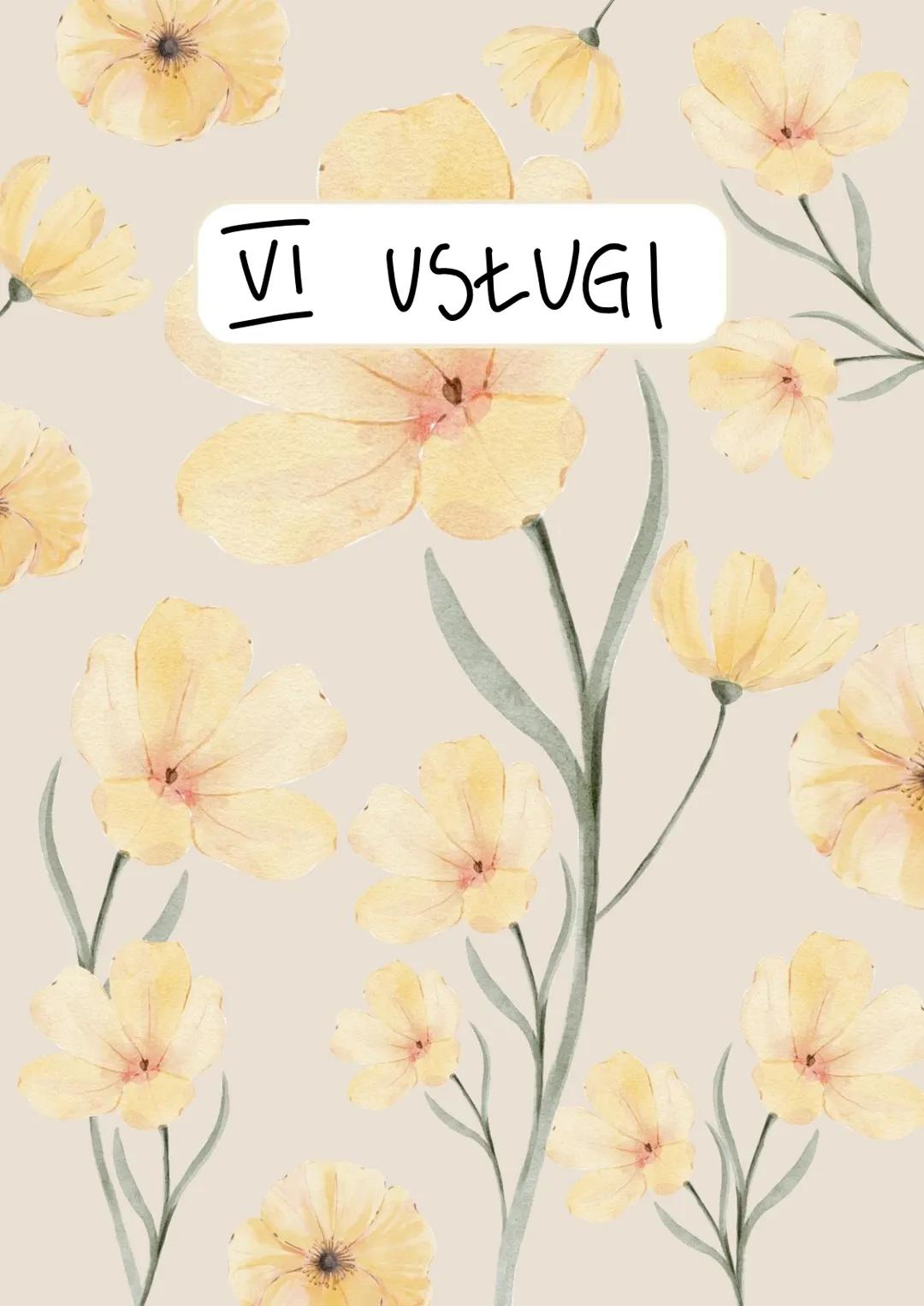 VI USŁUGI # ZRÓŻNICOWANIE USŁUG WE WSPÓŁCZESNYM ŚWIECIE
1. Usługi - pojęcie
→dział gospodarki narodowej, w którym
nie wytwarza się dobr ma