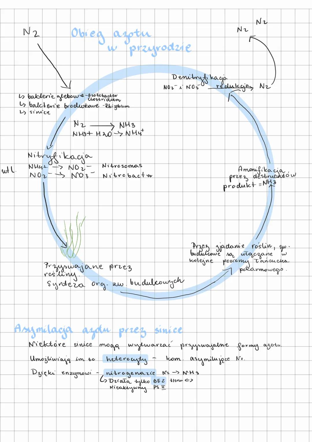# Ekologia
Gatunek - może swobodnie wydawać płodne potomstwo.
## Poziomy organizacji w ekologii
- osobnik - przedstawiciel gatunku
- popu
