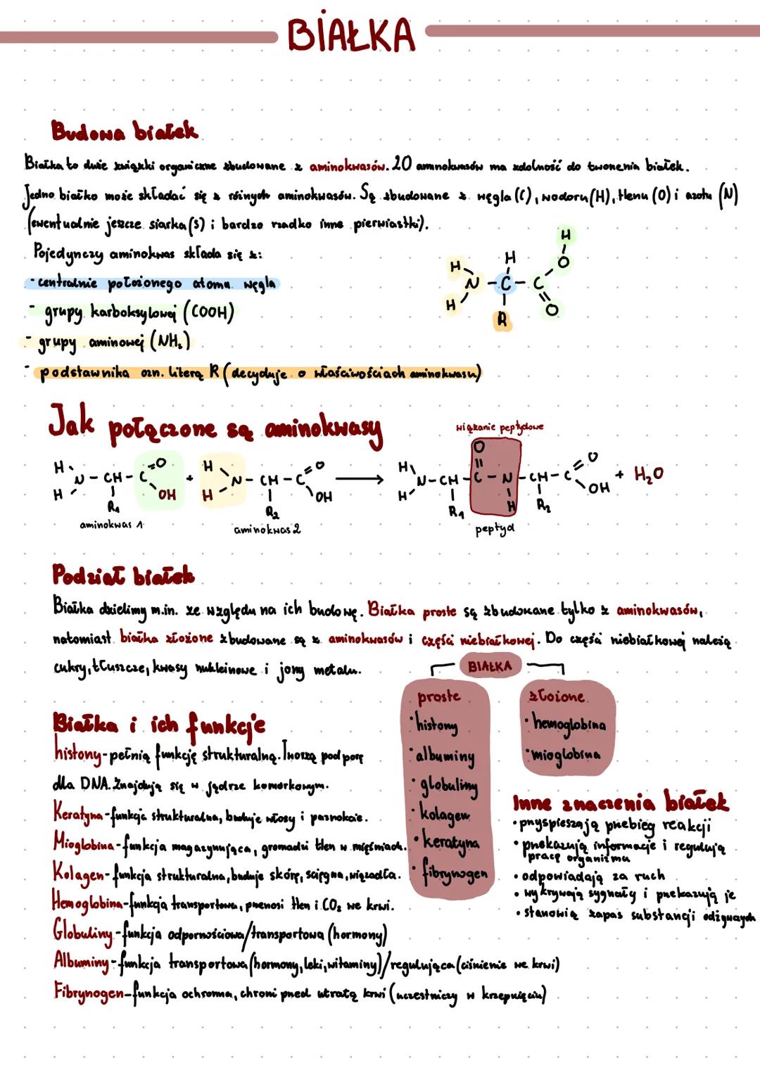 --- OCR Start ---
BIAŁKA
Budowa białek
Białka to duże związki organickne zbudowane & aminokwasów. 20 aminokwasów ma zdolność do twonenia bia