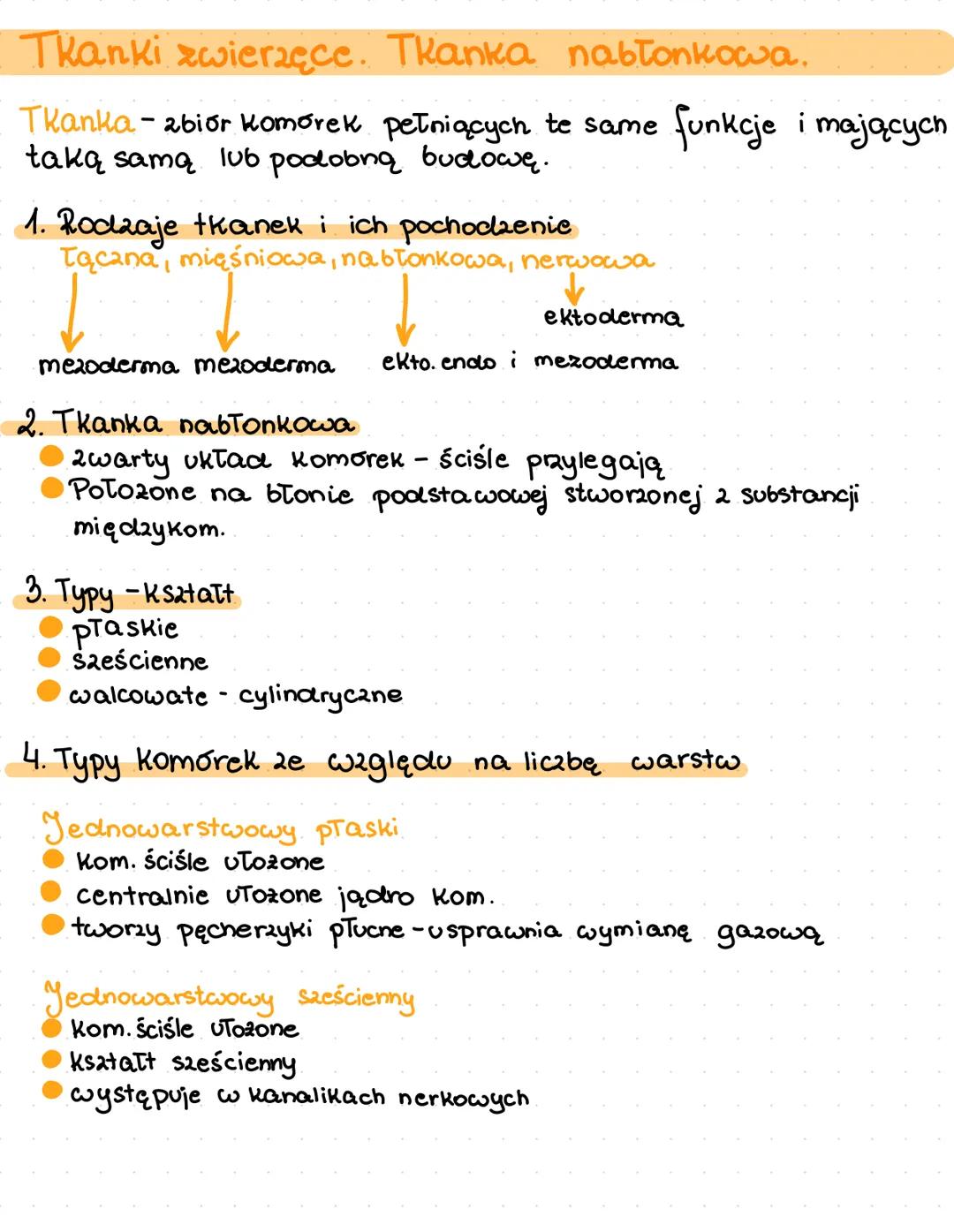 Tkanki zwierzęce. Tkanka nabłonkowa.
Tkanka - zbiór komórek pełniących te same funkcje i mających
taką samą lub podobną budowę.
1. Rodzaje t