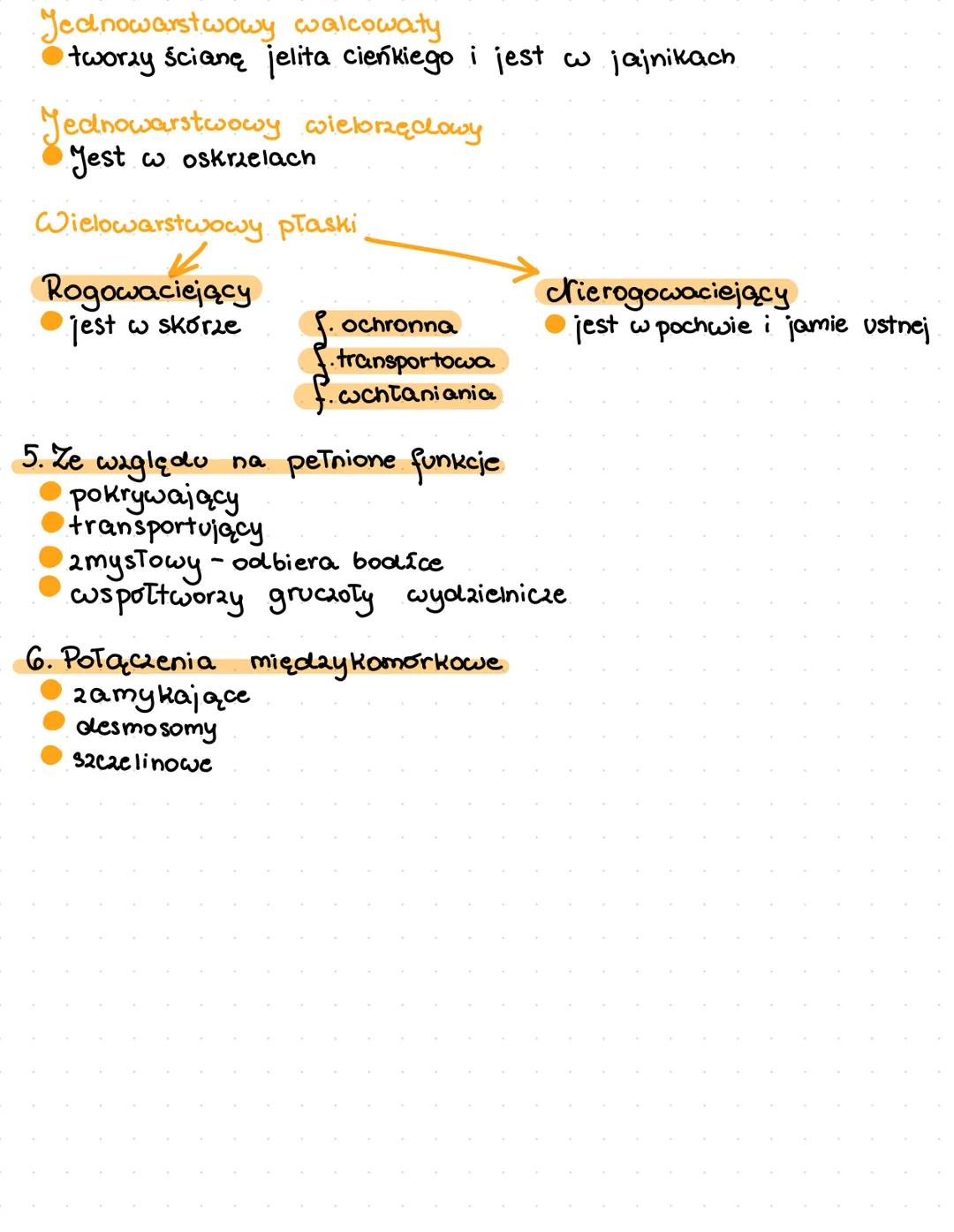 Tkanki zwierzęce. Tkanka nabłonkowa.
Tkanka - zbiór komórek pełniących te same funkcje i mających
taką samą lub podobną budowę.
1. Rodzaje t