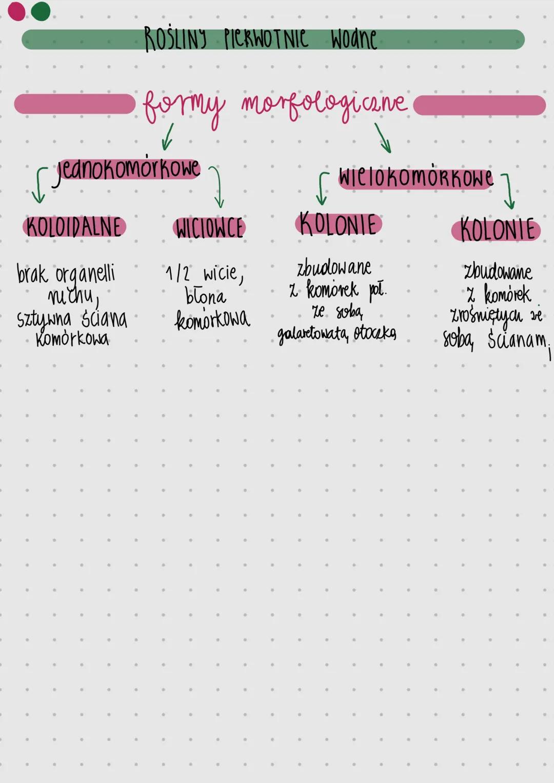 ROŚLINY PIERWOTNIC wodne
formy morfologiczne
Jednokomórkowe
KOLOIDALNE
brak organelli
nichu,
sztywna ściana
Komórkowa
1/2 wicie,
Wielo