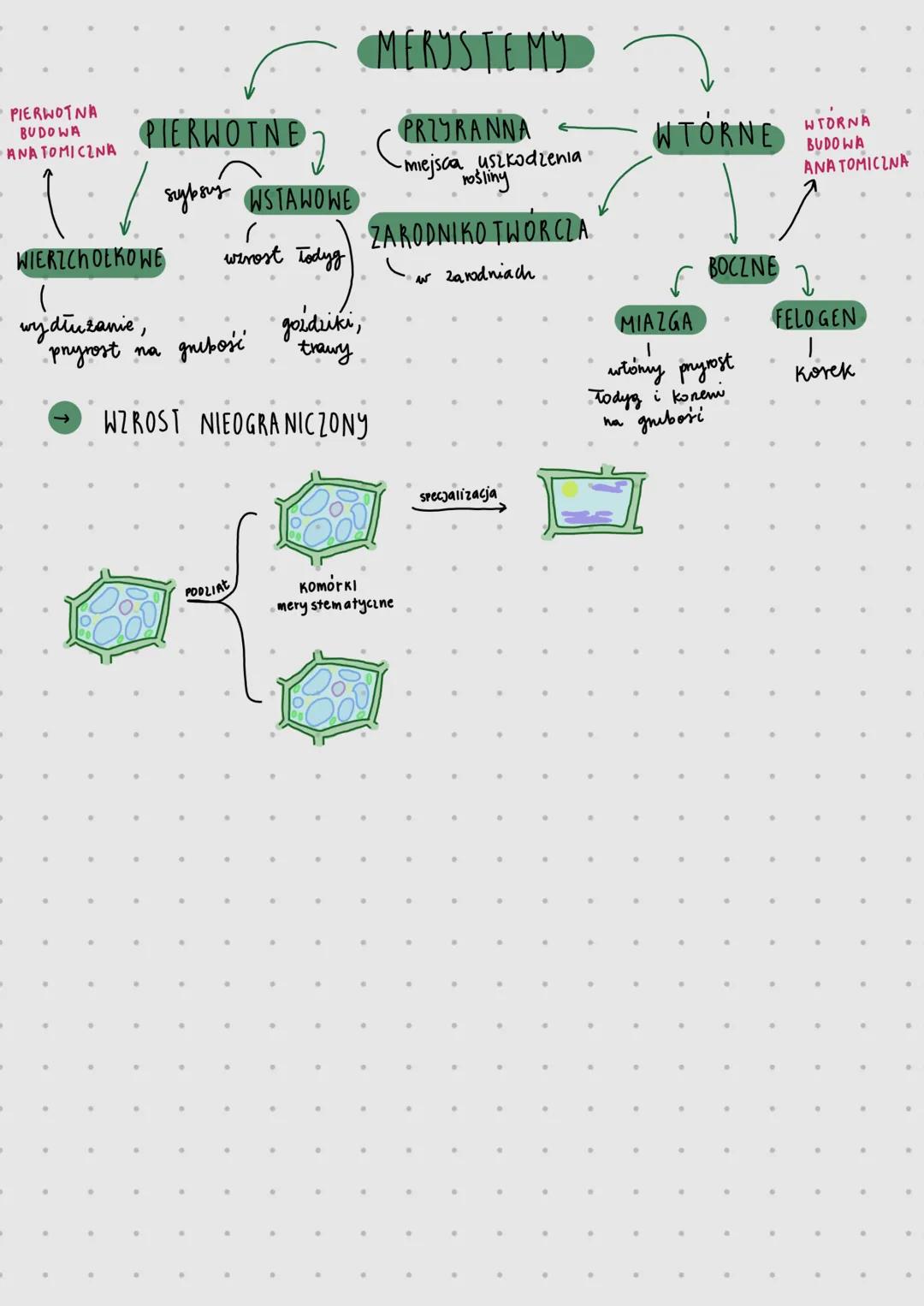 ROŚLINY PIERWOTNIC wodne
formy morfologiczne
Jednokomórkowe
KOLOIDALNE
brak organelli
nichu,
sztywna ściana
Komórkowa
1/2 wicie,
Wielo