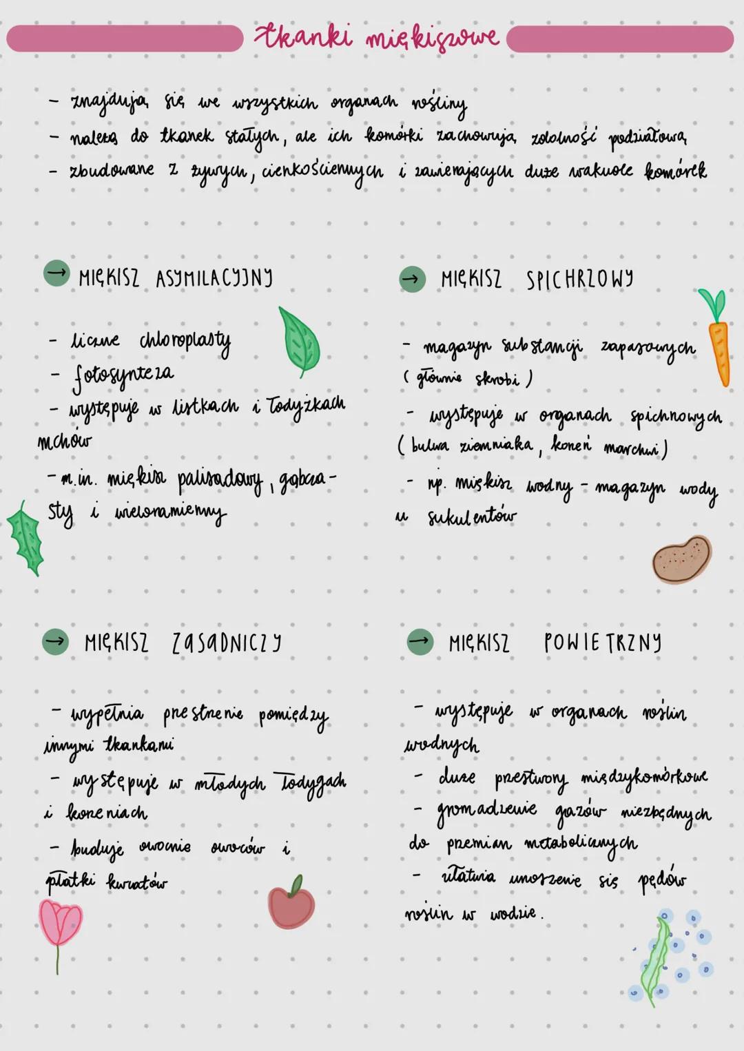 ROŚLINY PIERWOTNIC wodne
formy morfologiczne
Jednokomórkowe
KOLOIDALNE
brak organelli
nichu,
sztywna ściana
Komórkowa
1/2 wicie,
Wielo