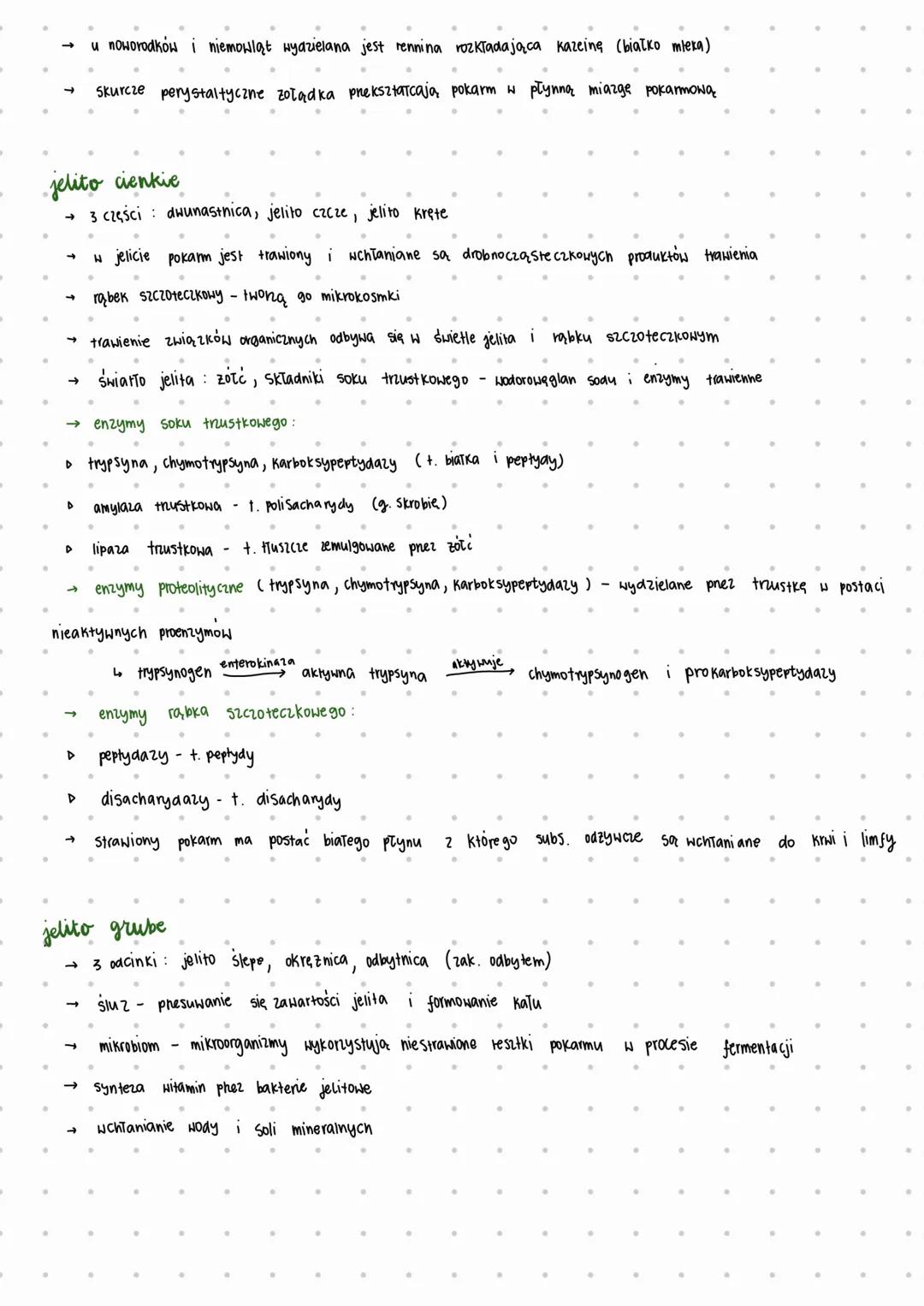 # ODZYWIANIE SIĘ ZWIERZĄT
trawienie i wchłanianie pokarmu
* TRAWIENIE wewnątrz komorkowe
* rozkład pokarmu bezpośrednio w komórkach z
