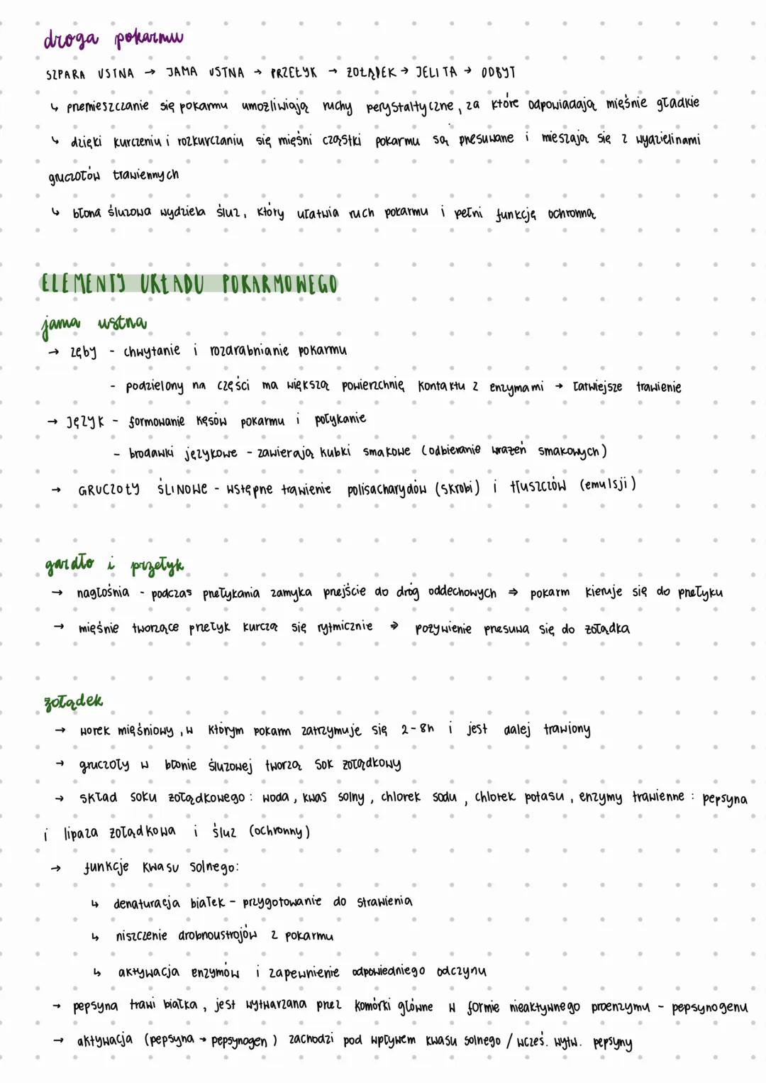 # ODZYWIANIE SIĘ ZWIERZĄT
trawienie i wchłanianie pokarmu
* TRAWIENIE wewnątrz komorkowe
* rozkład pokarmu bezpośrednio w komórkach z