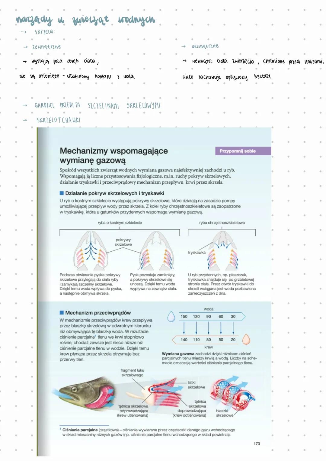 --- OCR Start ---
UKŁAD ODDECHOWY U ZWIERZĄT
narządy oddechowe
→ W WODZIE : skrzela, skrzelotchawki, gardziel ze szczelinami skrzelowymi
→ N