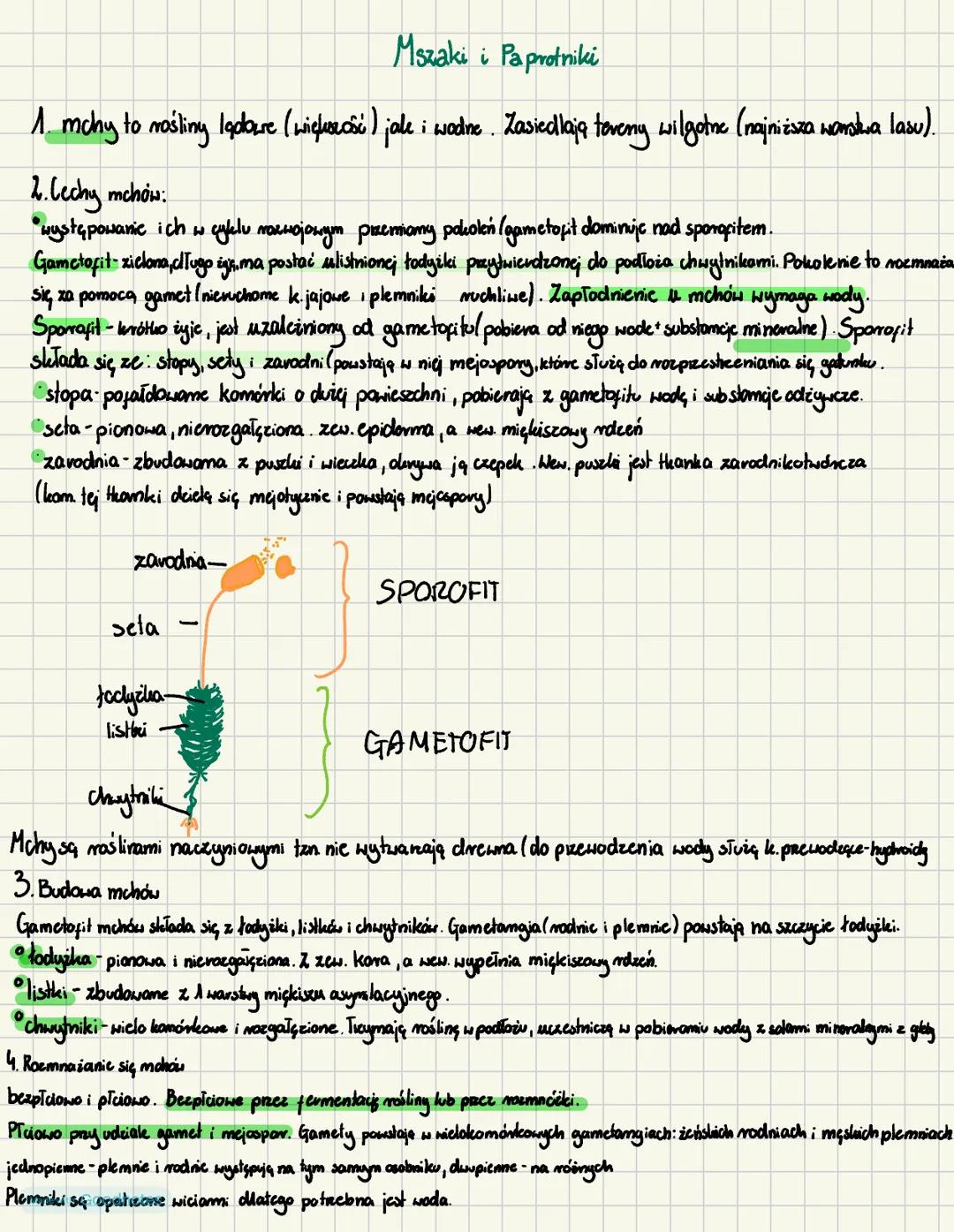 # Mszaki i Paprotniki
1. mchy to rośliny Iadaure (większość) jale i wodne. Zasiedlają teveny wilgotne (najniższa wansua lasu).
2. Lechy mc