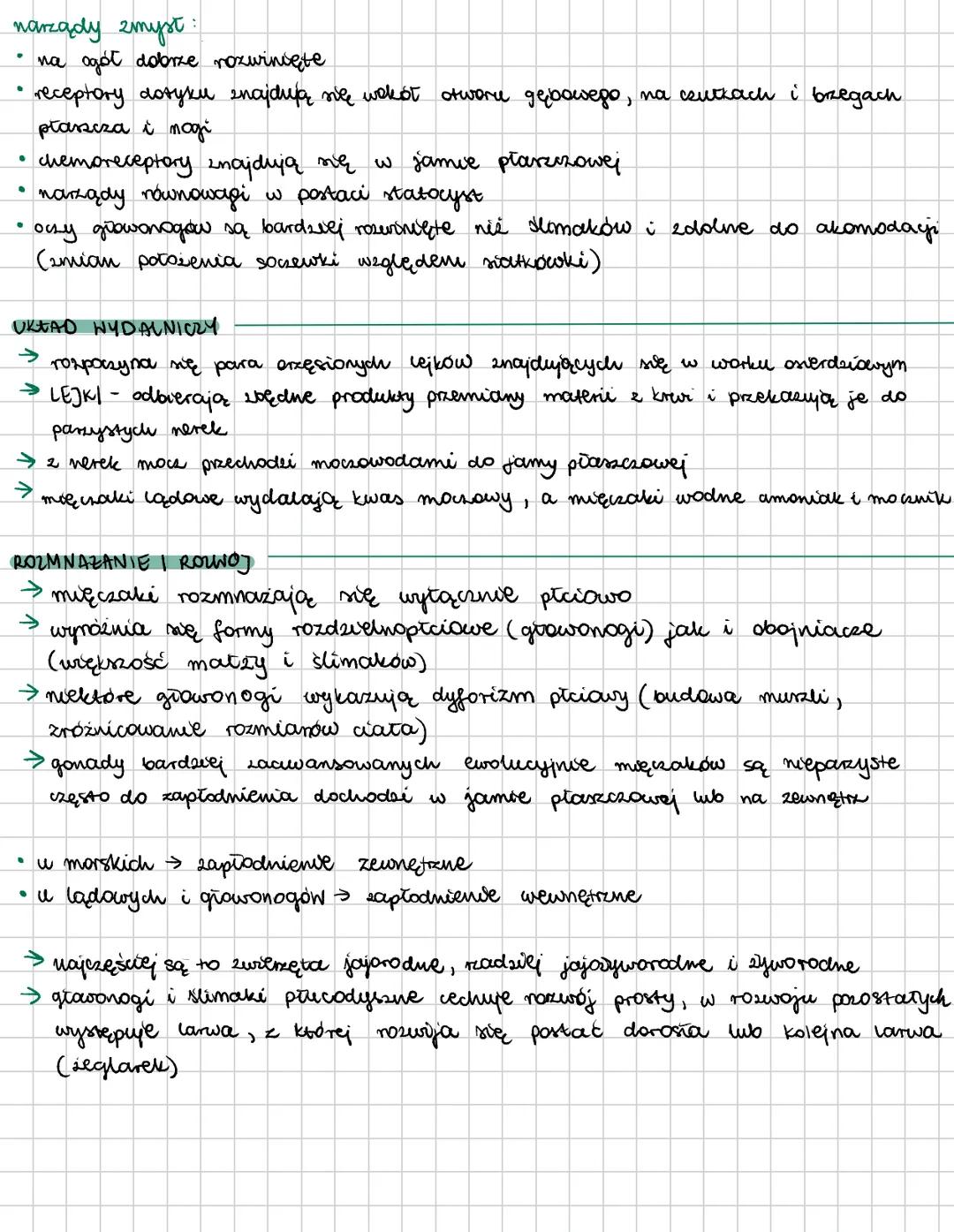 # MIĘCZAKI
slumak
uvększość zyje w mozach i oceanach, meliisne gatunki w wodach stockich, sy
ne lądzie (dzięki możliwości zapadania w stan