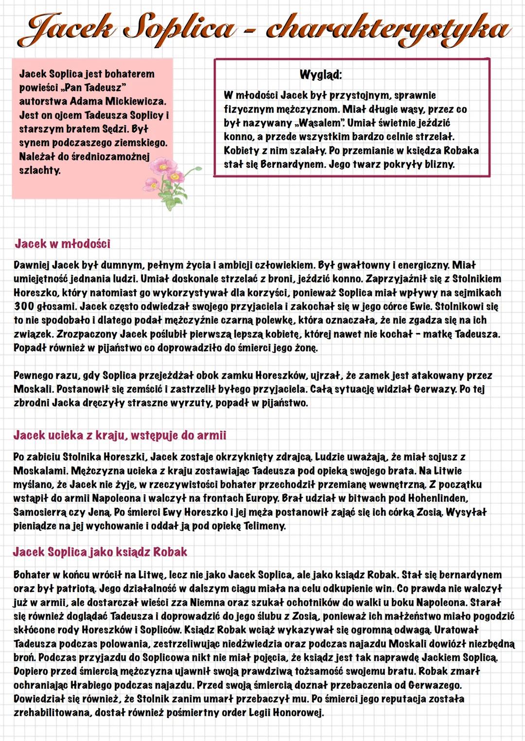 Charakterystyka Jacka Soplicy