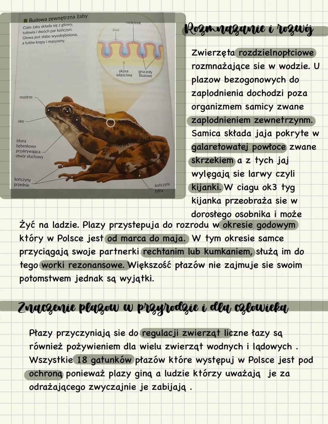 # Plazy
## Crodowisko zycia
Kręgowce żyją w wodno-lądowym trybie zycia nazywamy je
zwierzętami dwusrodowiskowymi. Żyją w wilgotnym środowi