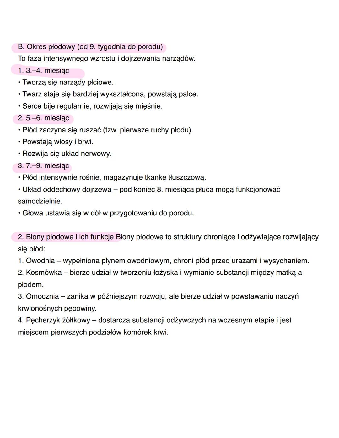 Rozwój człowieka - prenatalny i postnatalny
Rozwój człowieka można podzielić na dwa główne okresy:
1. Rozwój prenatalny (przed urodzeniem)