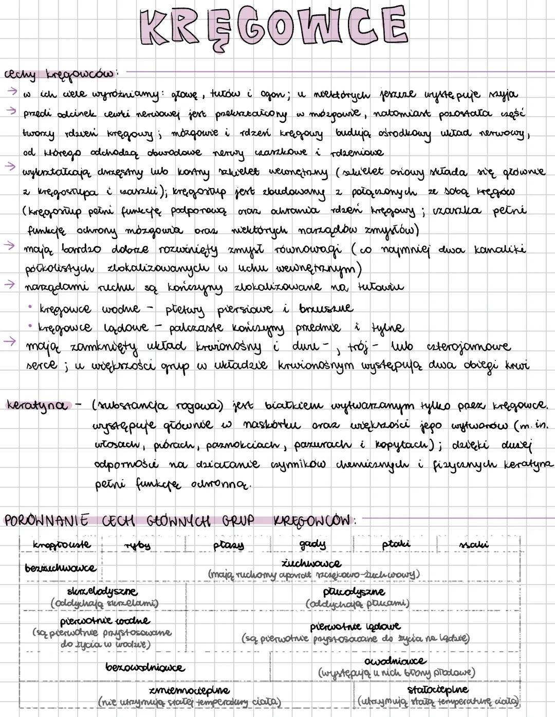 cechy charakterystyczne kręgowców