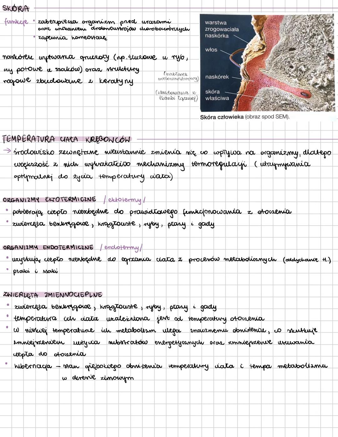 --- OCR Start ---
cechy kręgowców:
KRĘGOWCE
→ w ich ciele wyróżniamy głowę, tułów i ogon; u niektórych jeszcze występuje szyja
→ przedni odc