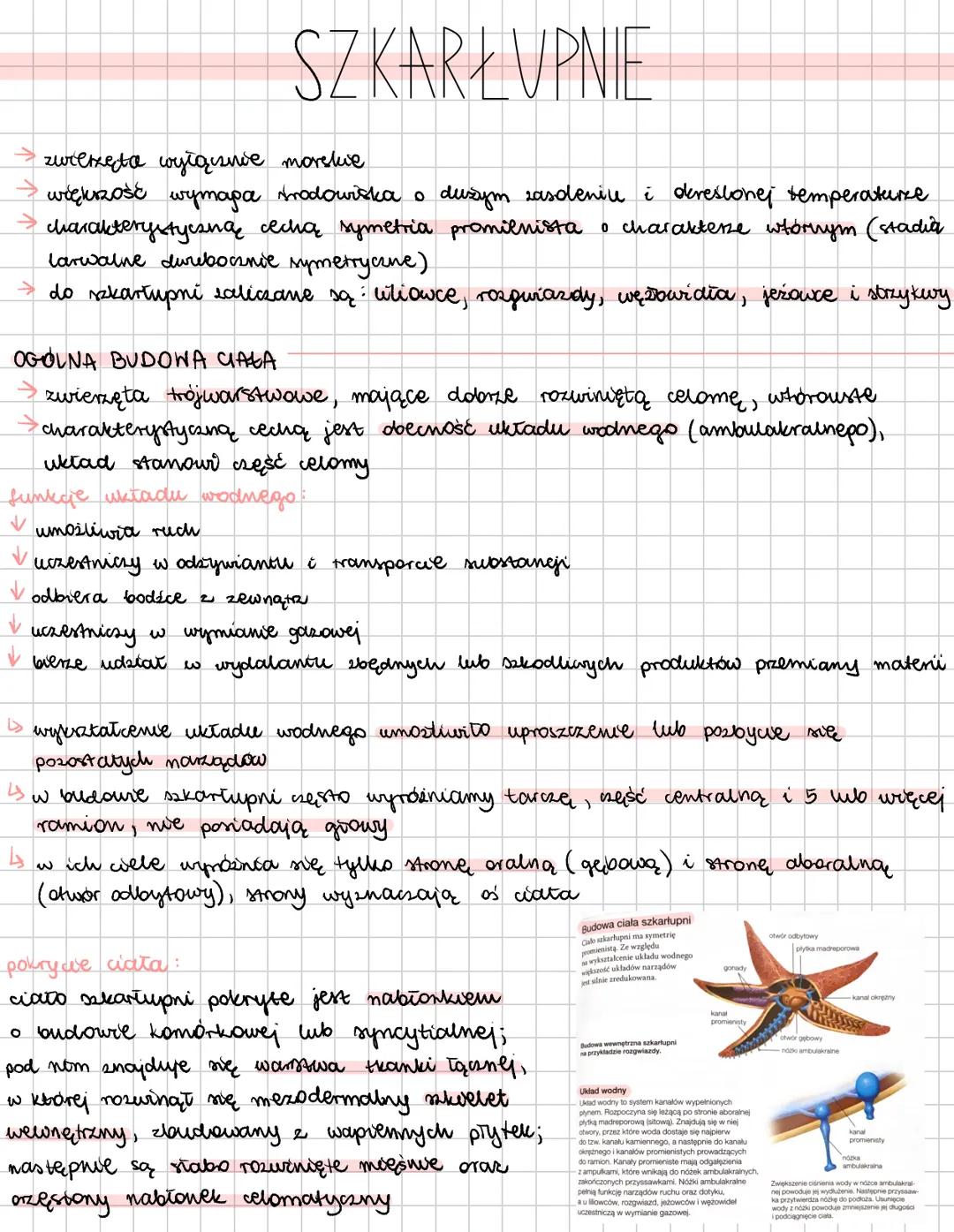 SZKARŁUPNIE
→ zwierzęta wyłąisive morstue
→więkność wymapa trodowiska o dużym zasdeniu i dereslonej temperaturze
→ charakterystyczną cech