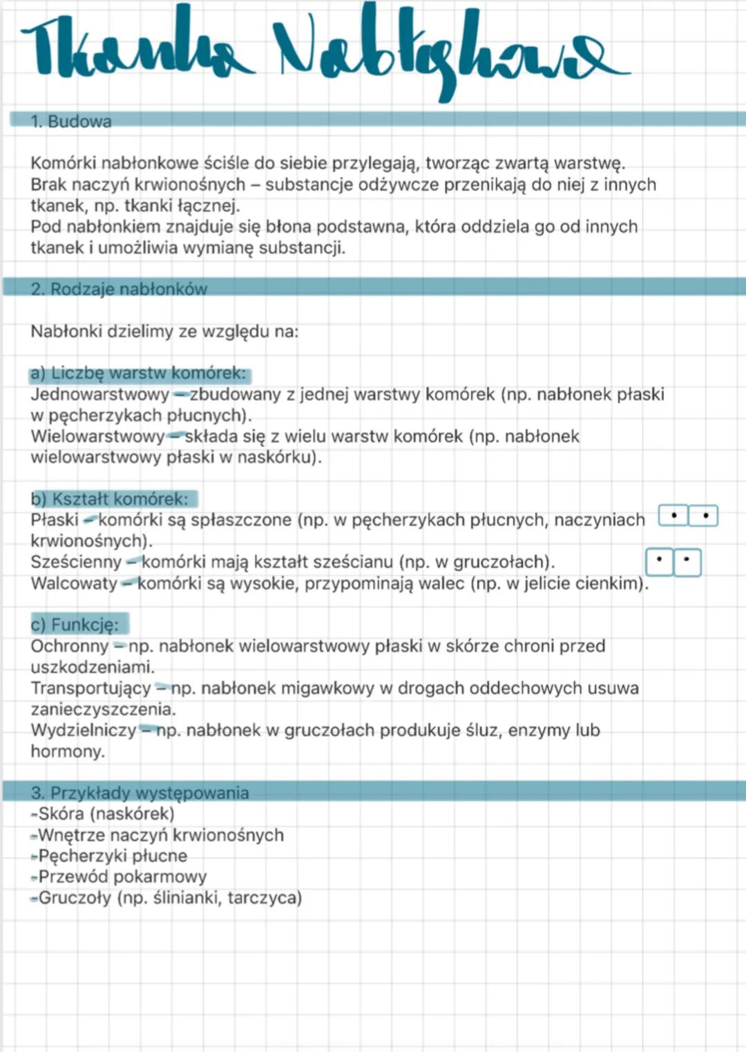 --- OCR Start ---
Thanka Nablighava
1. Budowa
Komórki nabłonkowe ściśle do siebie przylegają, tworząc zwartą warstwę.
Brak naczyń krwionośny
