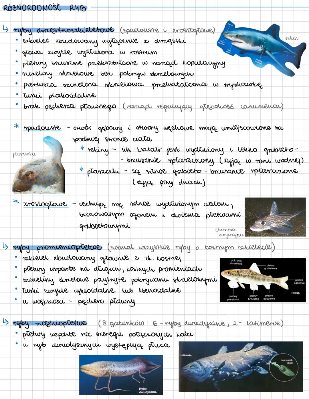 --- OCR Start ---
RYBY
kręgowce pierwotnie wodne, zamieszkujące zarówno wody słodkie jak i słone; zmiennocieplne
OGÓLNA BUDOWA CIAŁA RYB
→ r