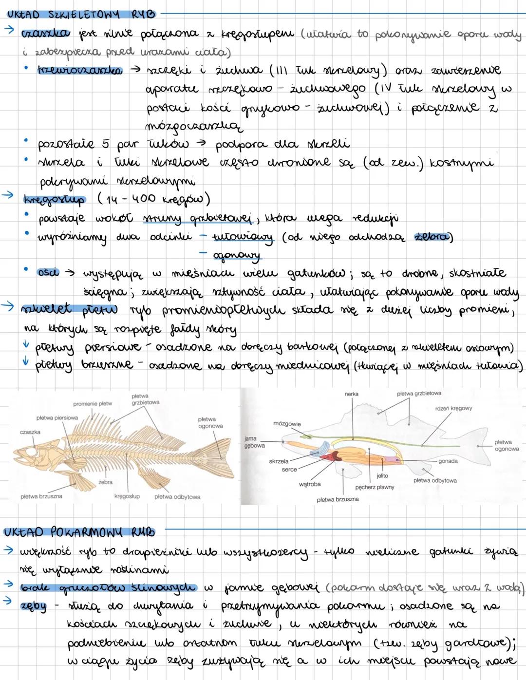 --- OCR Start ---
RYBY
kręgowce pierwotnie wodne, zamieszkujące zarówno wody słodkie jak i słone; zmiennocieplne
OGÓLNA BUDOWA CIAŁA RYB
→ r