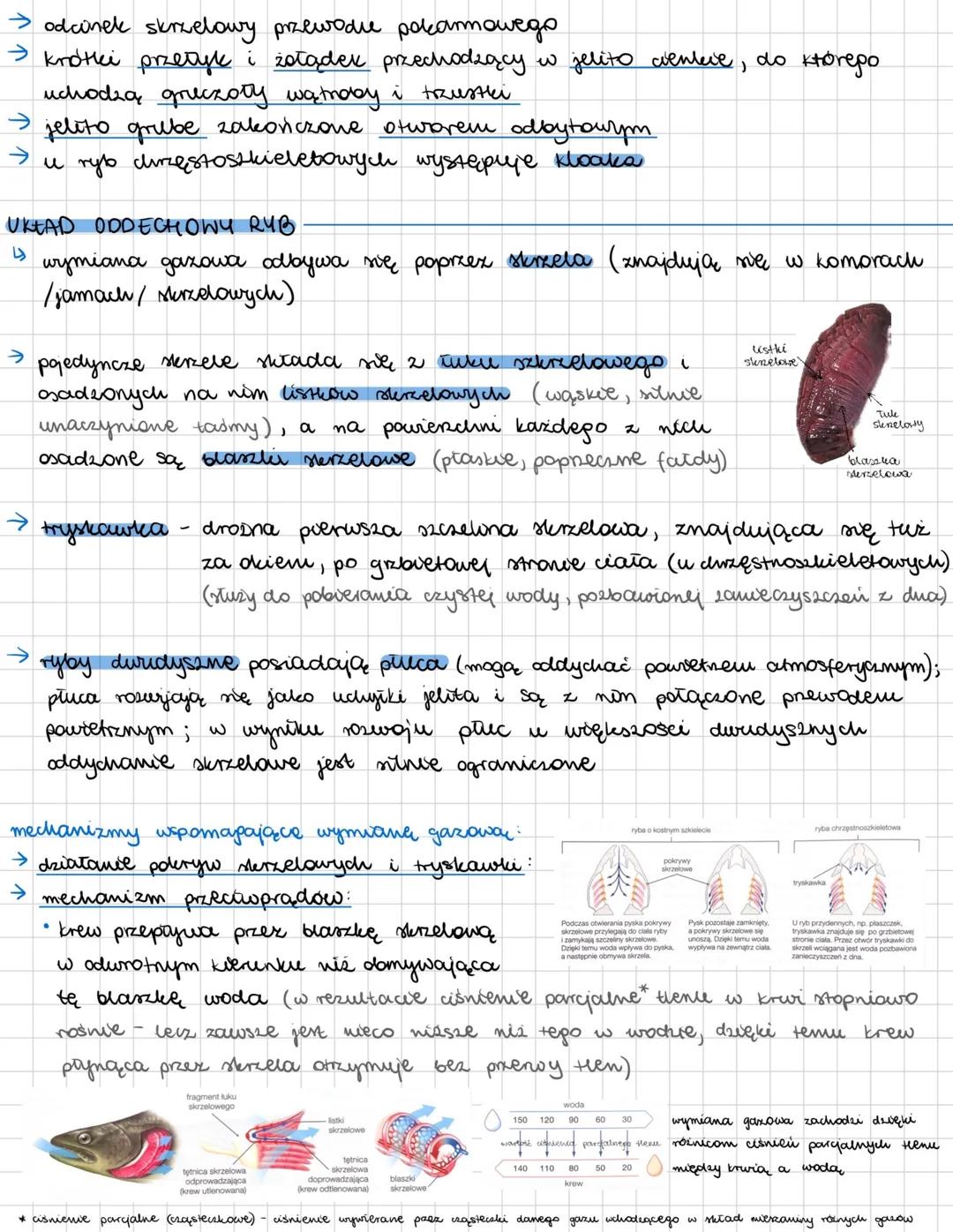 --- OCR Start ---
RYBY
kręgowce pierwotnie wodne, zamieszkujące zarówno wody słodkie jak i słone; zmiennocieplne
OGÓLNA BUDOWA CIAŁA RYB
→ r
