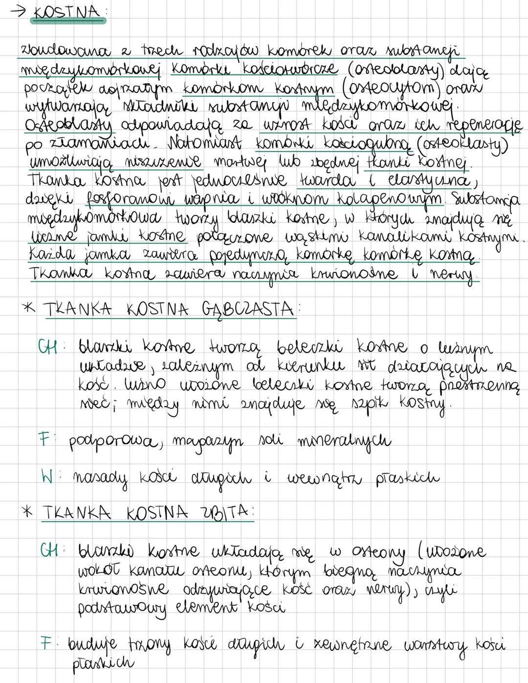 --- OCR Start ---
TKANKI ZWIERZĘCE
- tkanko nabtonkowo
pokrywa ciało zwierząt i usciela ich narządy wewnętrzne. Zoudowana jest
z jednej lub