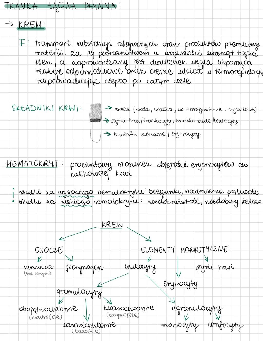 --- OCR Start ---
TKANKI ZWIERZĘCE
- tkanko nabtonkowo
pokrywa ciało zwierząt i usciela ich narządy wewnętrzne. Zoudowana jest
z jednej lub