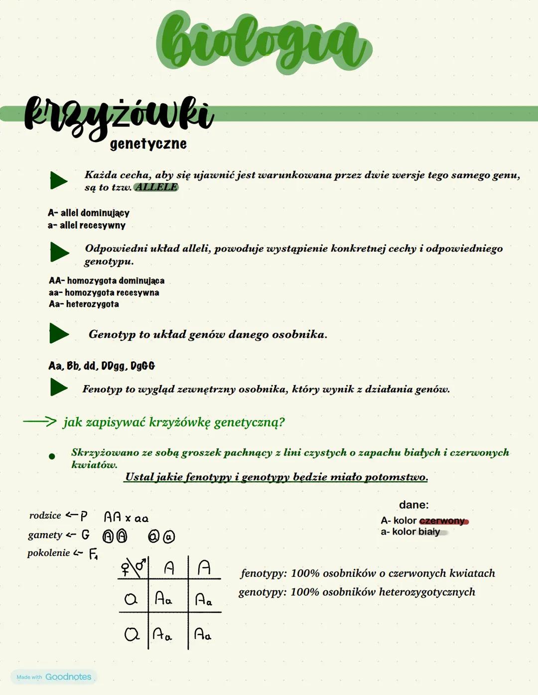 # biologia
# krzyżówki
genetyczne
Każda cecha, aby się ujawnić jest warunkowana przez dwie wersje tego samego genu,
są to tzw. ALLELE
A-