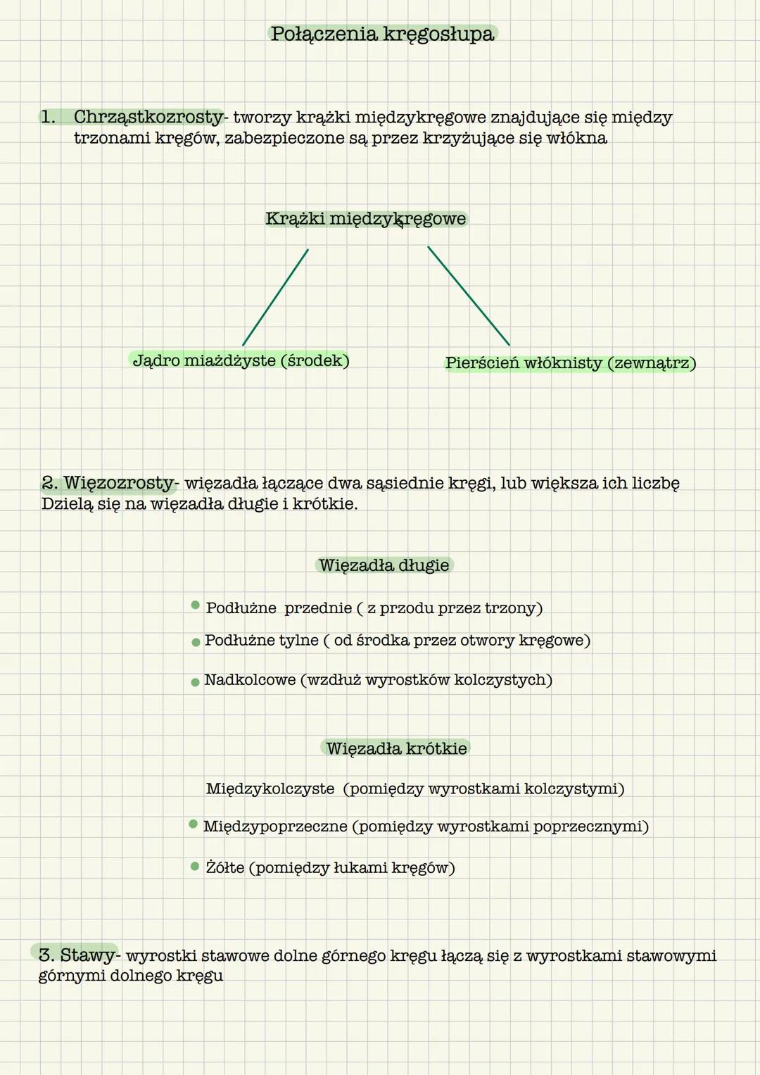 --- OCR Start ---
Kość krzyżowa, mostek, żebra, połączenia kręgosłupa
Kość krzyżowa
Ma kształt klina, w którym odróżnia się:
- Podstawę (łąc