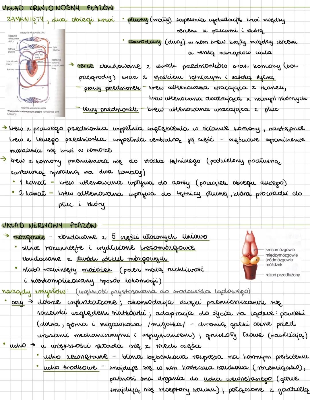# PŁAZY
zwierzęta zmiennorepine; ziemno-wodny tryb życia; wysoka temperatura + wody słodkie
(niska temperatura uncenvożliwia m.in. rozmnaża