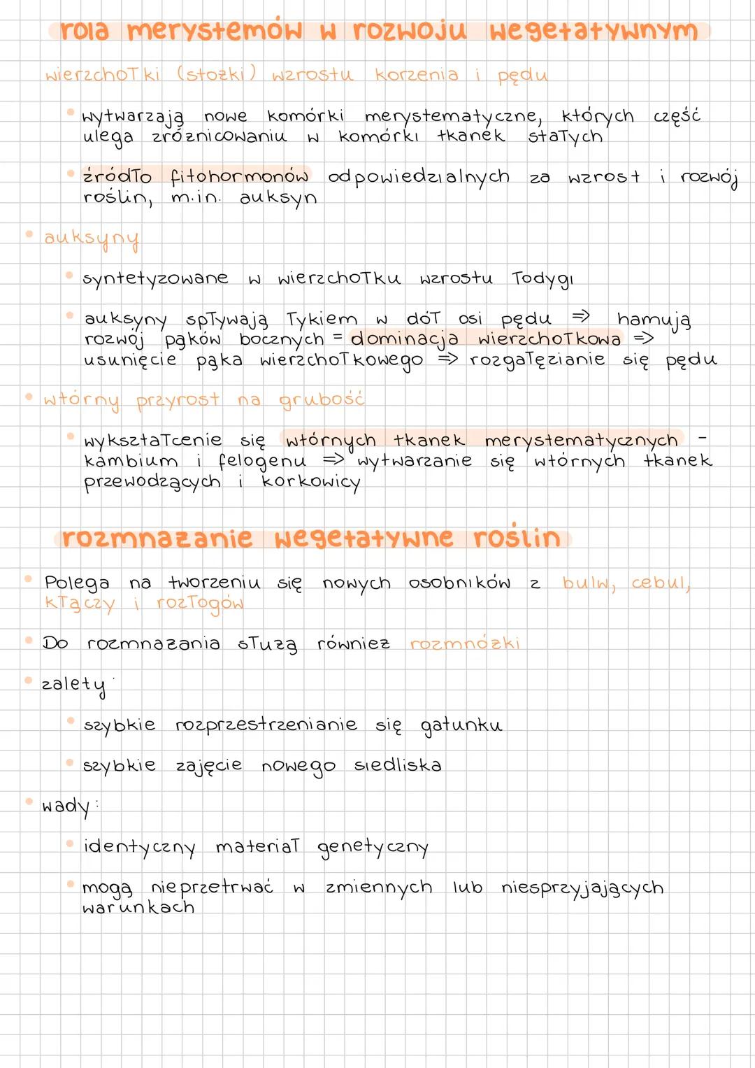 # ROZWÓJ
WEGETATYWNY
+ GENERATYWNY
ROŚLIN
ROZWÓJ
wegetatywny
* wzrost rośliny (od kilku / kilkudziesięciu dni do kilku lat)
* róznicowa
