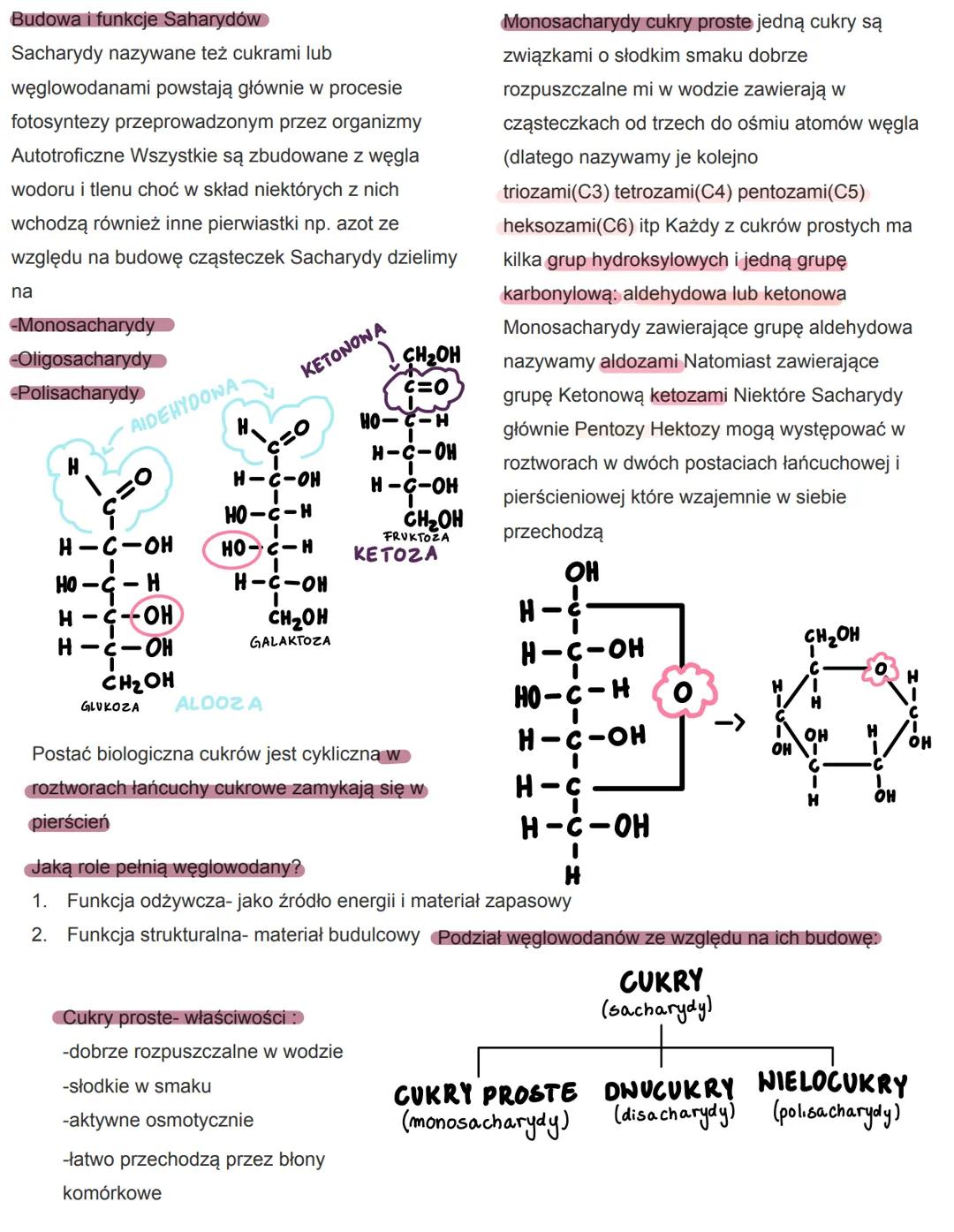 # Budowa i funkcje Saharydów
Sacharydy nazywane też cukrami lub
węglowodanami powstają głównie w procesie
fotosyntezy przeprowadzonym przez