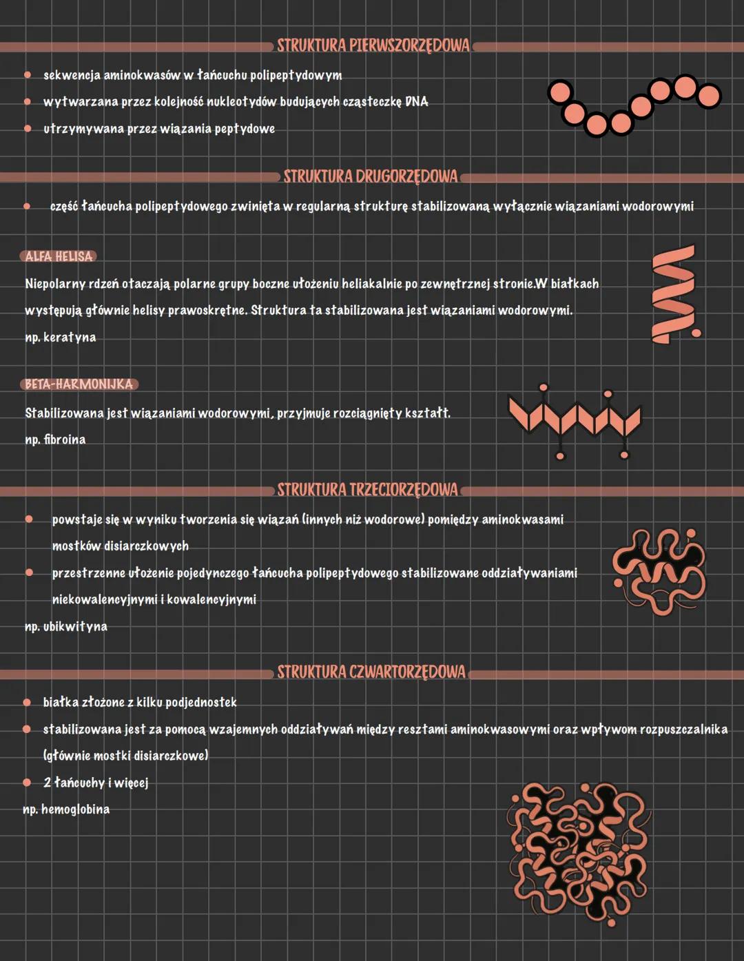 Podstawy struktur białek - co musisz wiedzieć