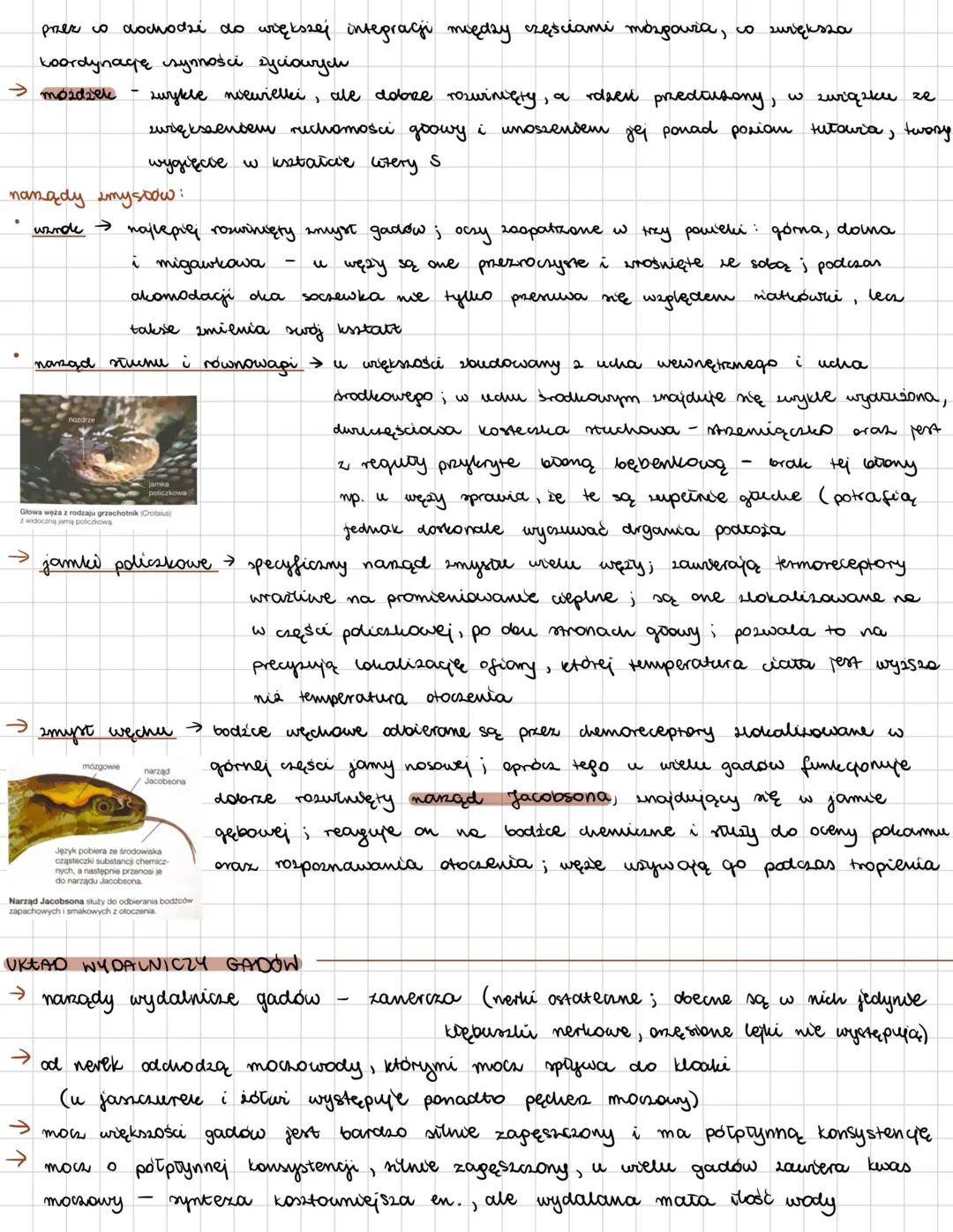 # GADY
zwierzęta zmiennocieplne; pierwsza grupa kręgowców przystosowana do lądu (wiele
gatunków wtórnie zaadaptowały się do środowiska wodn