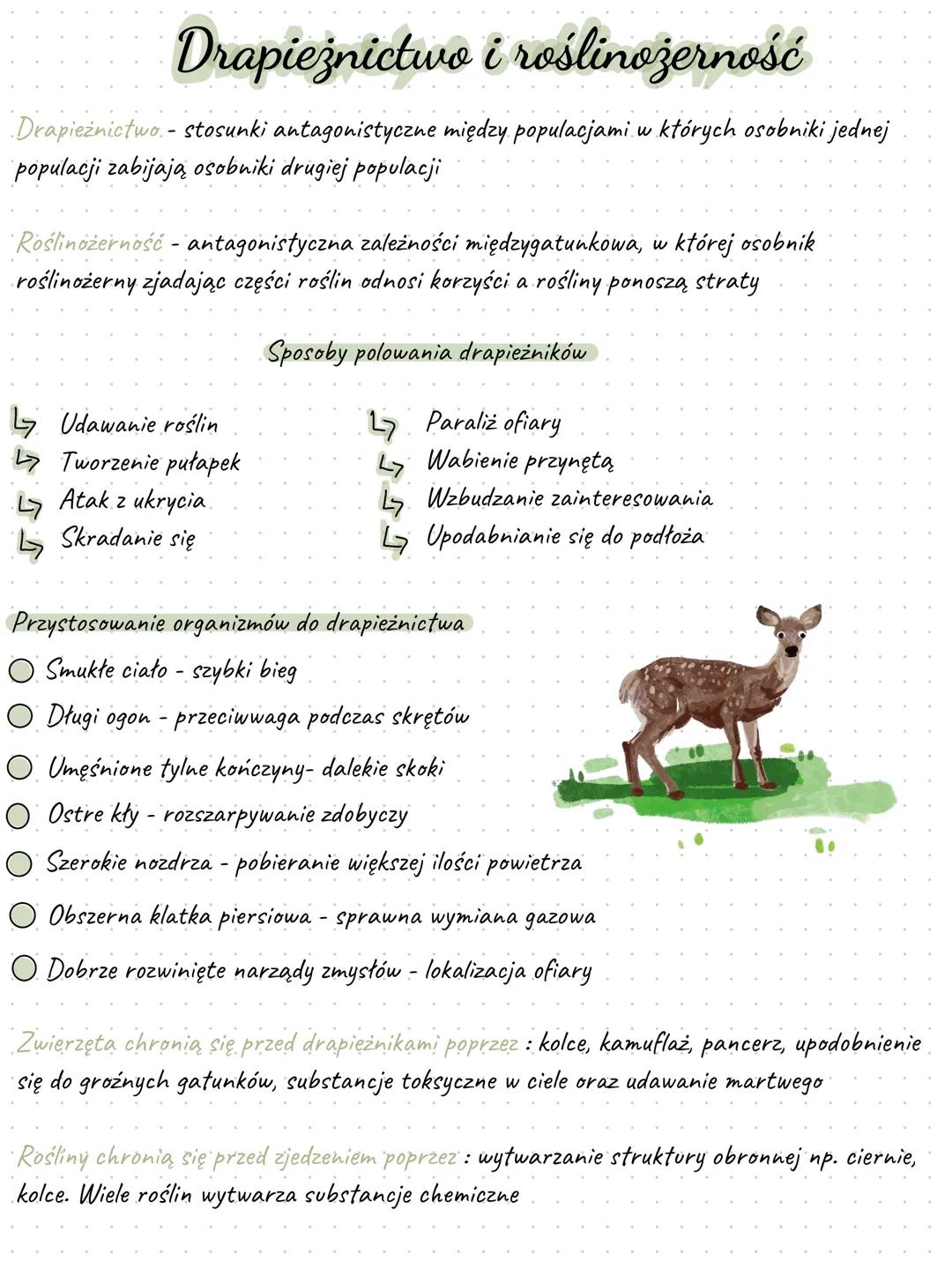 # Drapieżnictwo i roślinožerność
Drapieżnictwo. - stosunki antagonistyczne między populacjami w których osobniki jednej
populacji zabijają