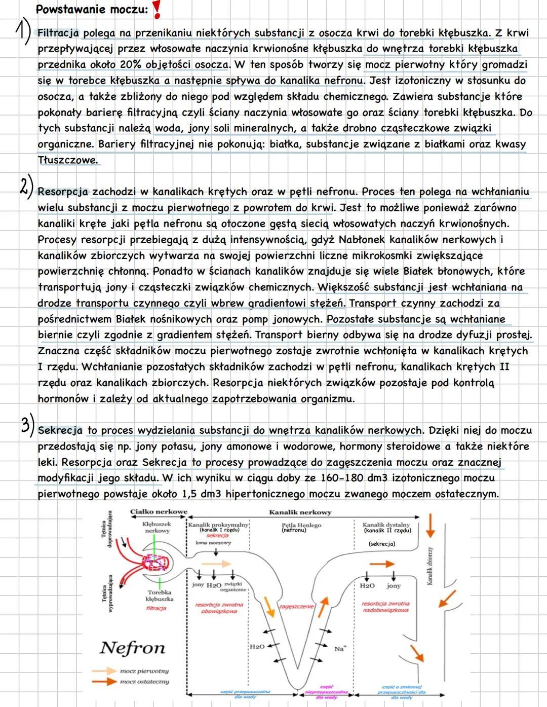 # uklad moczowy
wydalanie to proces fizjologiczny który polega na usuwaniu z organizmu zbędnych oraz
szkodliwych produktów przemiany materi