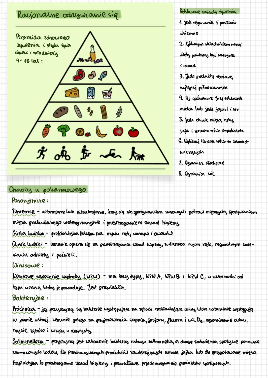 # Układ pokarmowy
Odcinki u. pokarmowego
język
gamdeo
gr.ślinowe
-20Egolak
trustka
protyk
watroba
3. gribe
j. cienkie
odbytnica
Gicrot