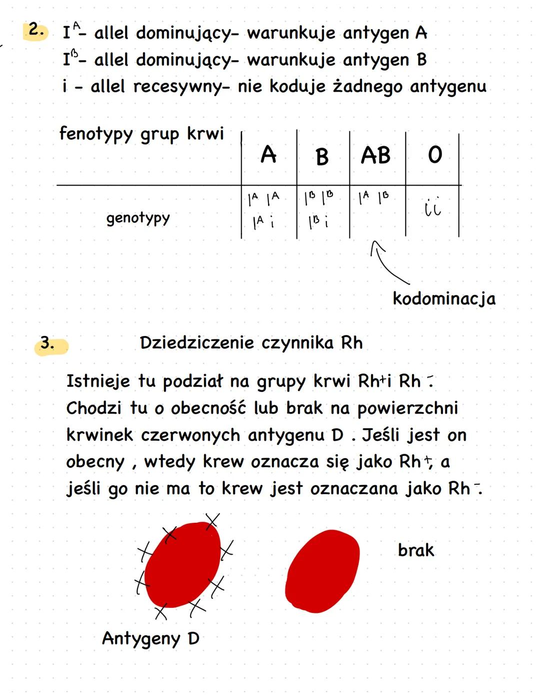 # Dziedziczenie
cech plci i grup
krwi
Dziedziczenie cech i czlowieka
1. Choroby genetyczne mogą być warunkowane przez 1
gen.
2. Cechy