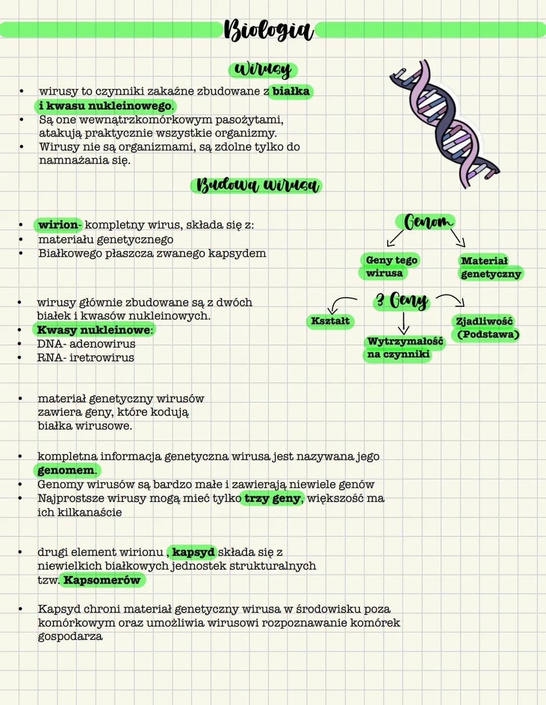 Biologia
Wirusy
wirusy to czynniki zakaźne zbudowane z białka
i kwasu nukleinowego.
Są one wewnątrzkomórkowym pasożytami,
atakują praktyczn