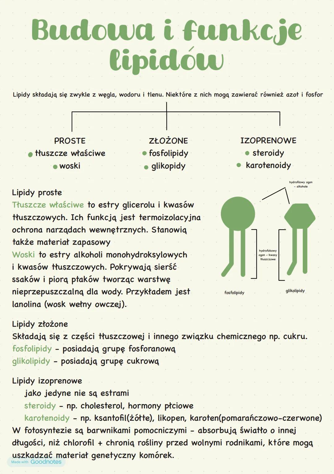 # Budowa i funkcje
lipidów
Lipidy składają się zwykle z węgla, wodoru i tlenu. Niektóre z nich mogą zawierać również azot i fosfor
PROSTE