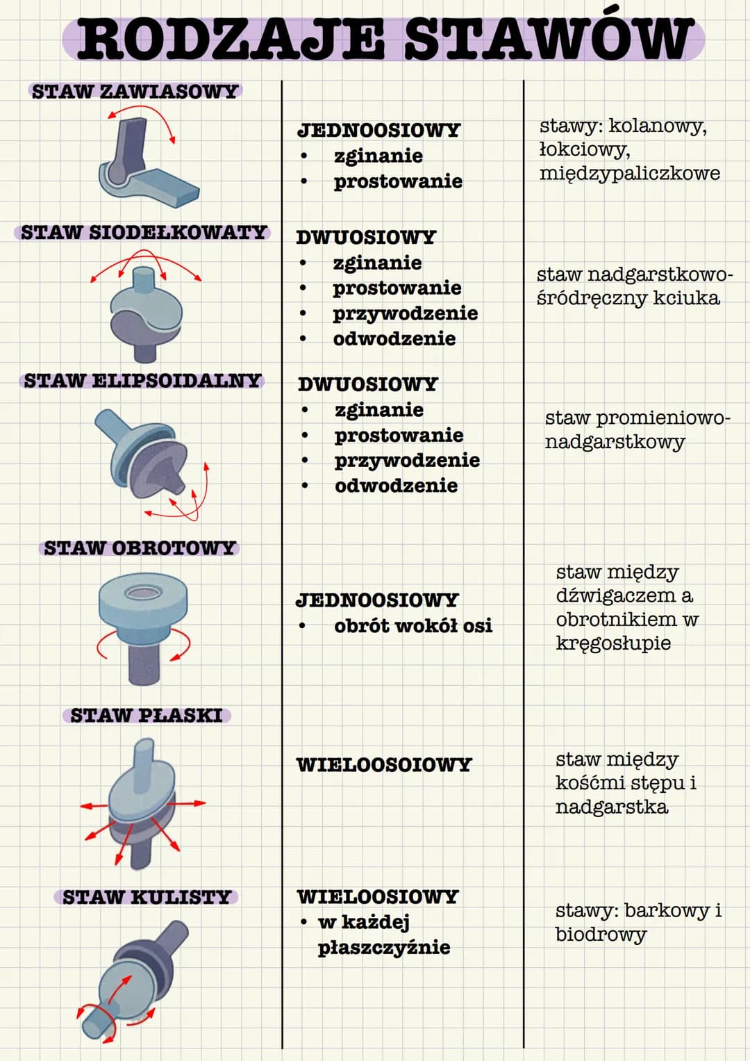 # BUDOWA KOŚCI
chrząstka stawowa
istota
gąbczasta
chrząstka
nasadowa
jama szpikowa
szpik
istota
zbita
naczynia
krwionośne
Kość długa