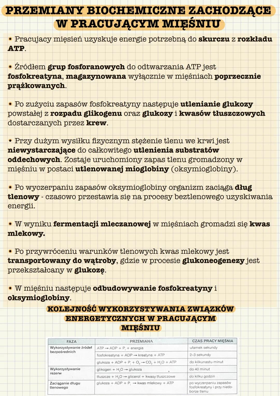 --- OCR Start ---
Układ mięśniowy tworzą wszystkie mięśnie ciała:
• mięśnie szkieletowe - czynna część aparatu ruchu
mięśnie gładkie - wystę