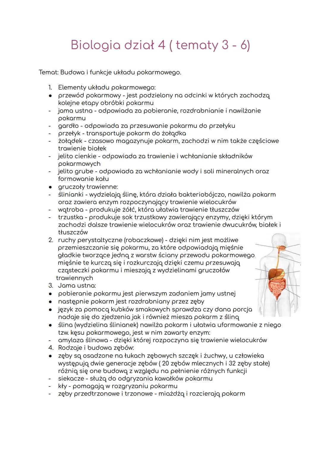 # Biologia dział 4 (tematy 3-6)
Temat: Budowa i funkcje układu pokarmowego.
1. Elementy układu pokarmowego:
- przewód pokarmowy - jest pod