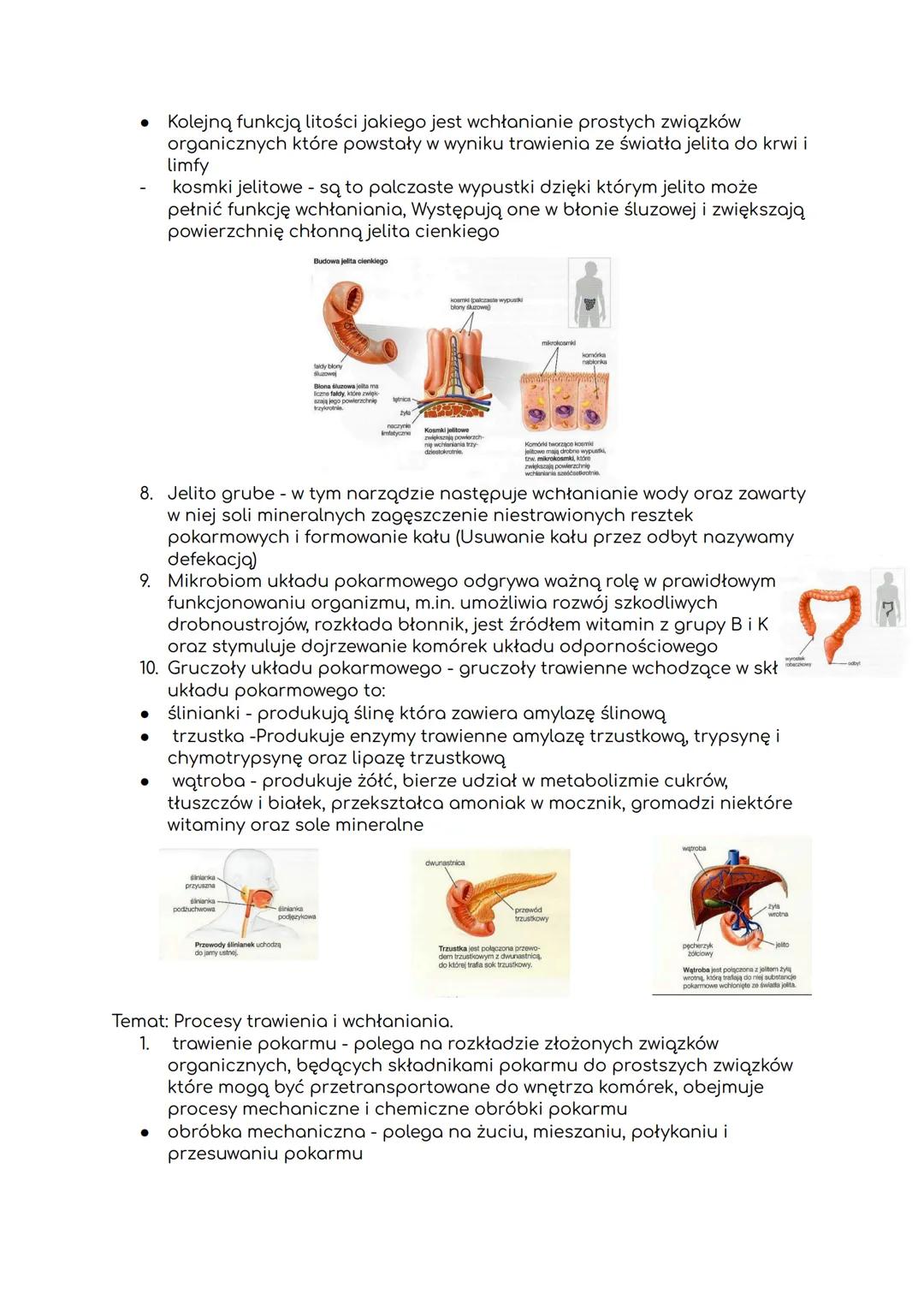 # Biologia dział 4 (tematy 3-6)
Temat: Budowa i funkcje układu pokarmowego.
1. Elementy układu pokarmowego:
- przewód pokarmowy - jest pod