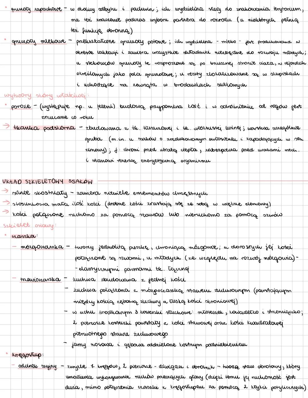 --- OCR Start ---
SSAKI
zwierzęta natociepine; żyją na wmystkich kontynentach, w środowiskee wodnym i lądowym;
wich wele wyróinia ne głowę,