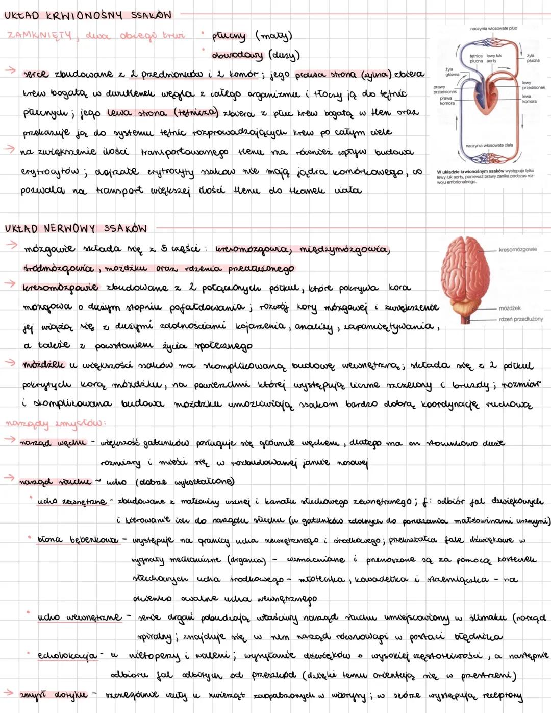 --- OCR Start ---
SSAKI
zwierzęta natociepine; żyją na wmystkich kontynentach, w środowiskee wodnym i lądowym;
wich wele wyróinia ne głowę,