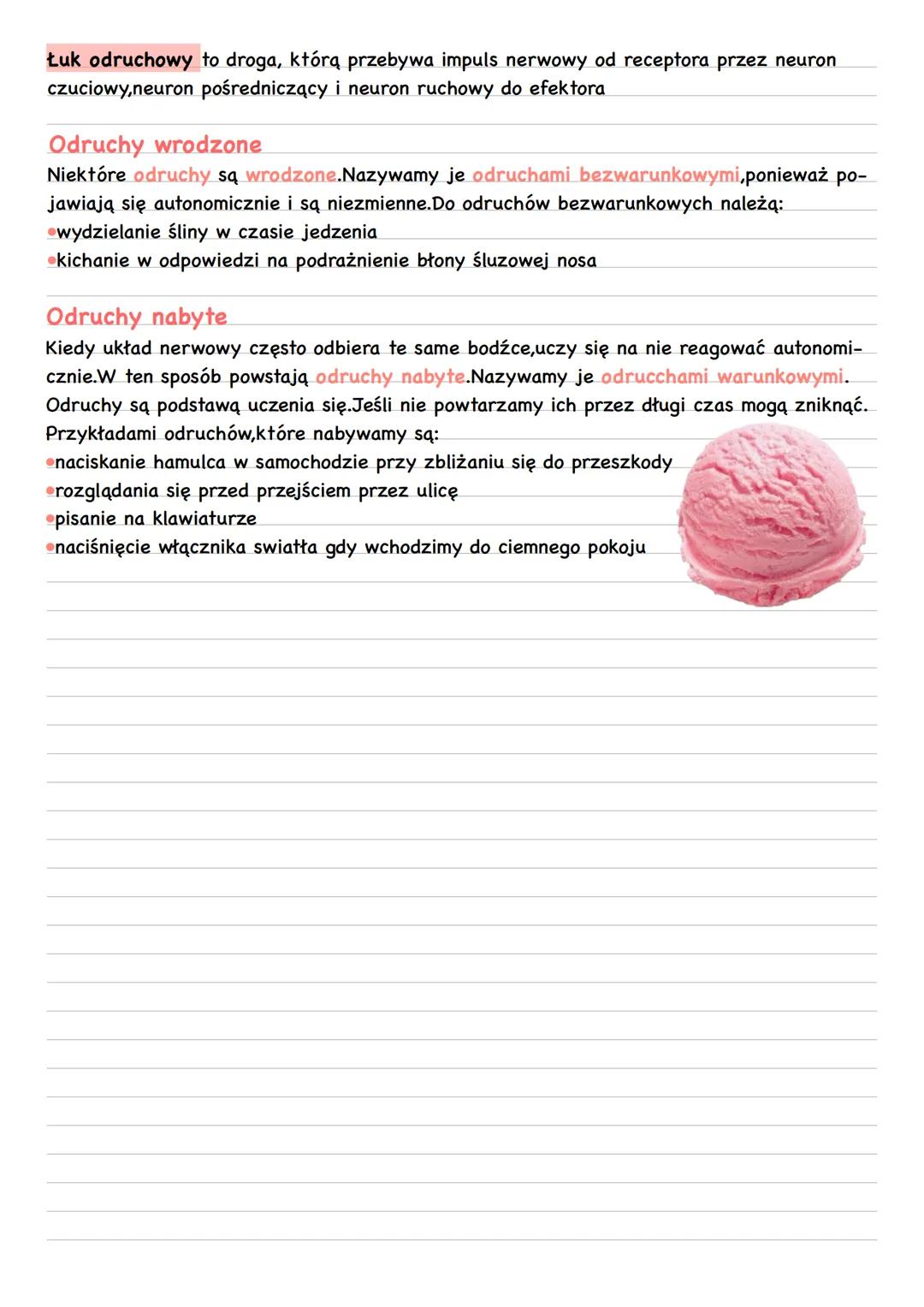 # Obwodowy układ nerwowy
Nerwy czaszkowe i rdzeniowe
W organizmie człowieka występuje 12 par nerwów czaszkowych i 31 par nerwów
rdzeniowyc