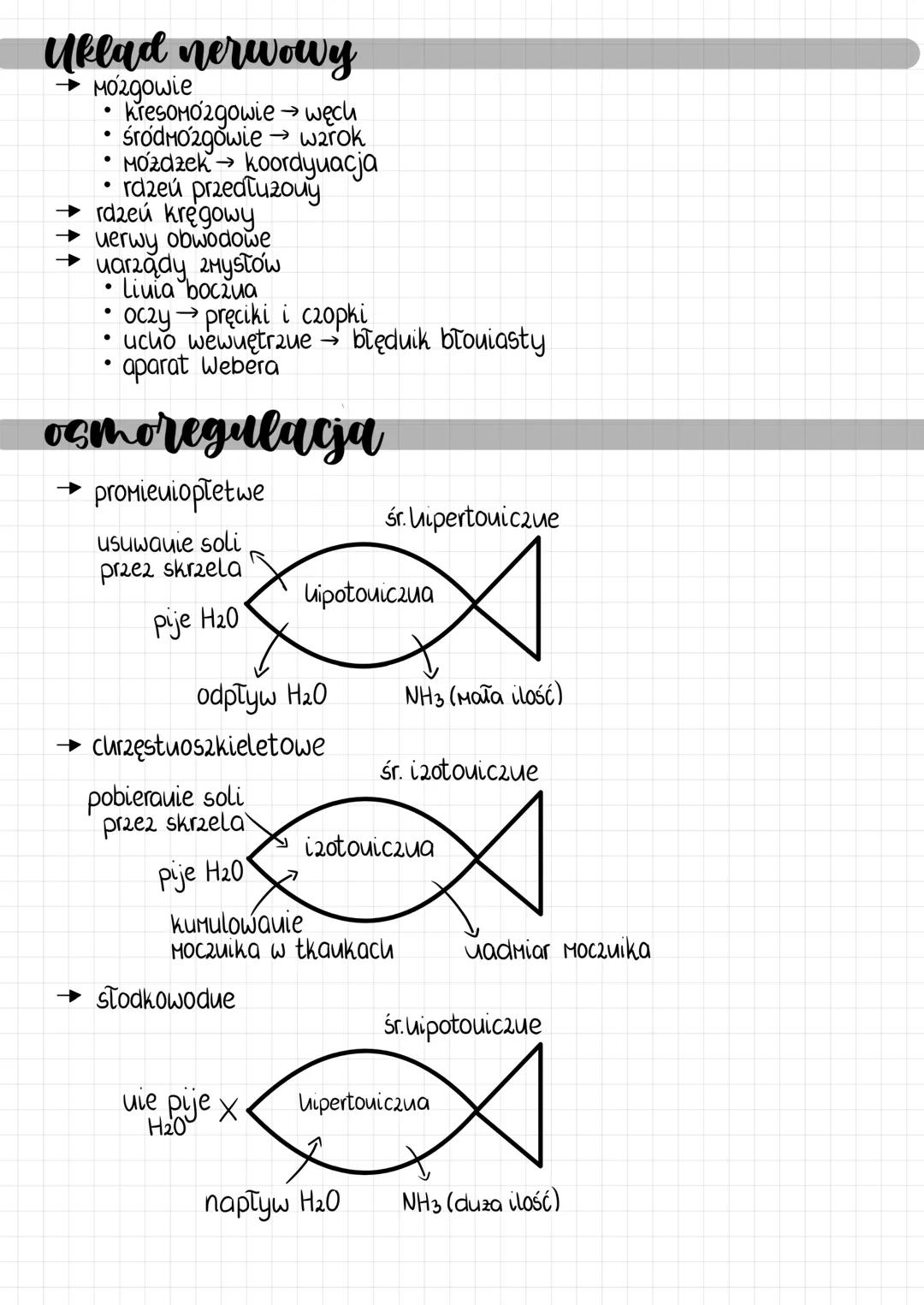 --- OCR Start ---
gady
charakterystyka
→ zmiennocieple
→ pelne przystosowanie do lądu
→ wtoruie wodne lub lądowo-wodne
→ liberują
→ ż0twie,