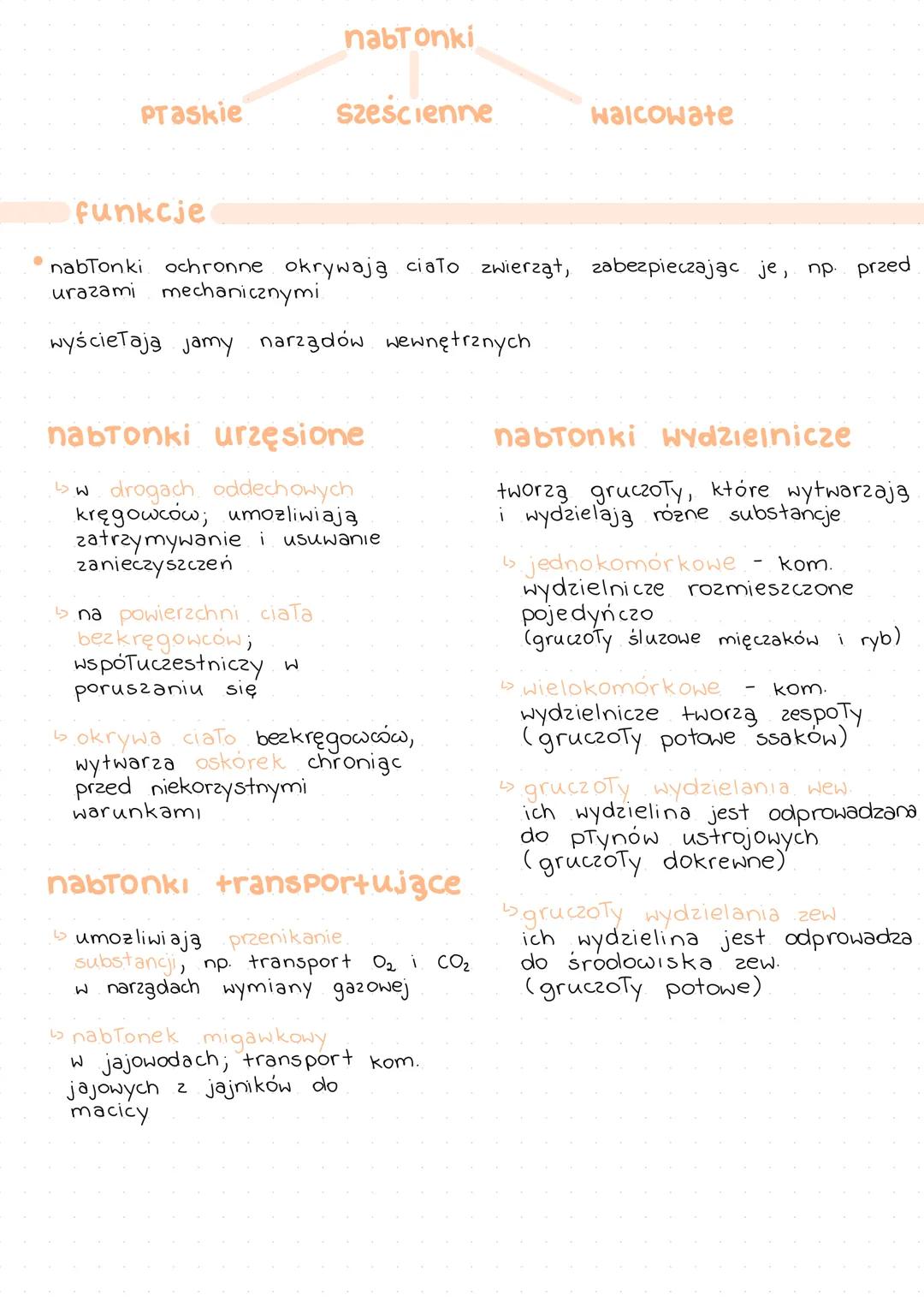 # TKANKA
# NABŁONKOWA
| Rodzaj tkanki | Pochodzenie tkanki |
| ------------- | ------------- |
| nabłonkowa | ektoderma, mezoderma, endode