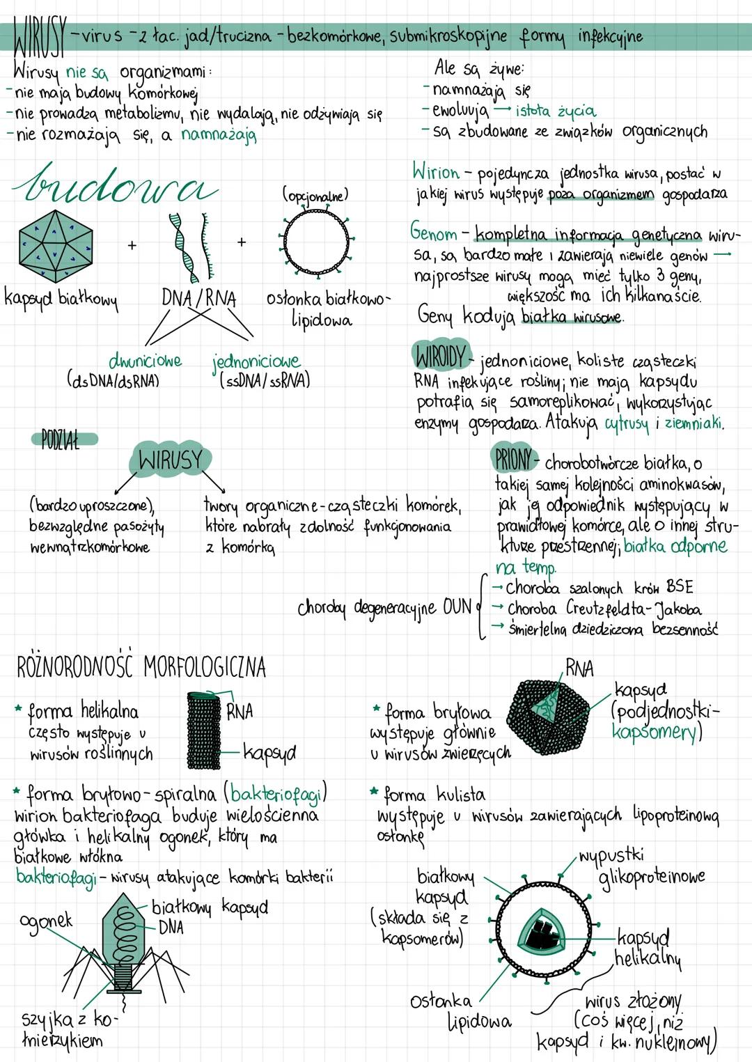 # WIRUSY - wirus = 2 tac. jad/trucizna - bezkomorkowe, submikroskopijne formy infekcyjne
Wirusy nie są organizmami:
- nie mają budowy komór