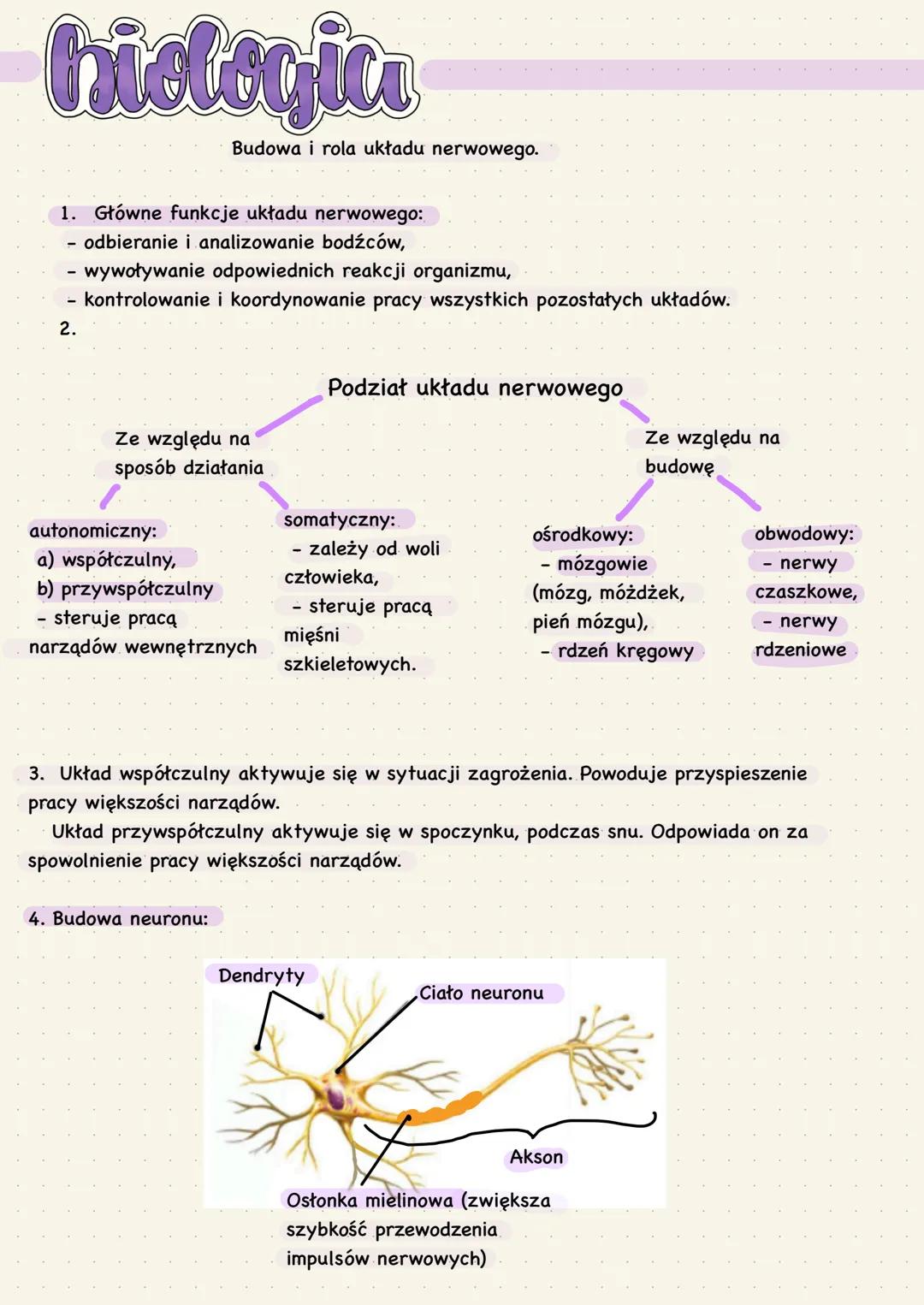 # biologica
Budowa i rola układu nerwowego.
1. Główne funkcje układu nerwowego:
- odbieranie i analizowanie bodźców,
- wywoływanie odpowied