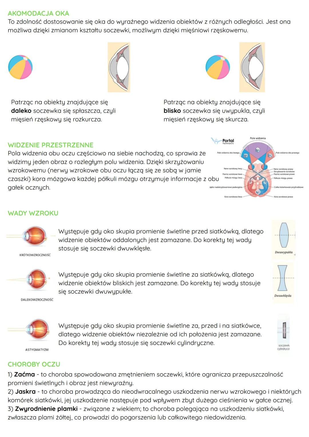 --- OCR Start ---
OKO
Oko jest narządem wzroku, umożliwia
widzenie barw i wyraźne widzenie
obiektów znajdujących się na różnej
odległości od